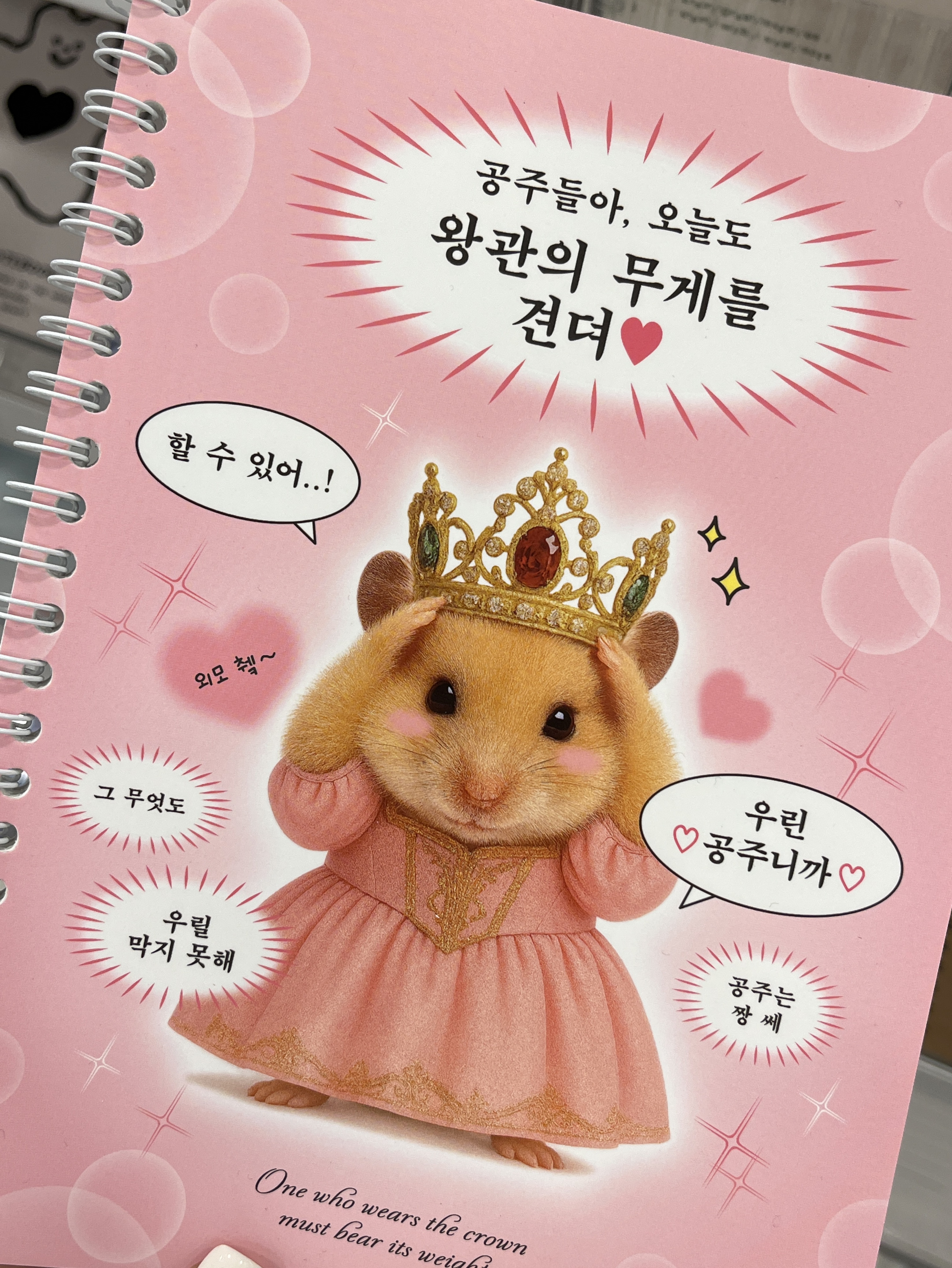 갱상도얼짱 ғᴍ¹ / 잔 잔 도 전