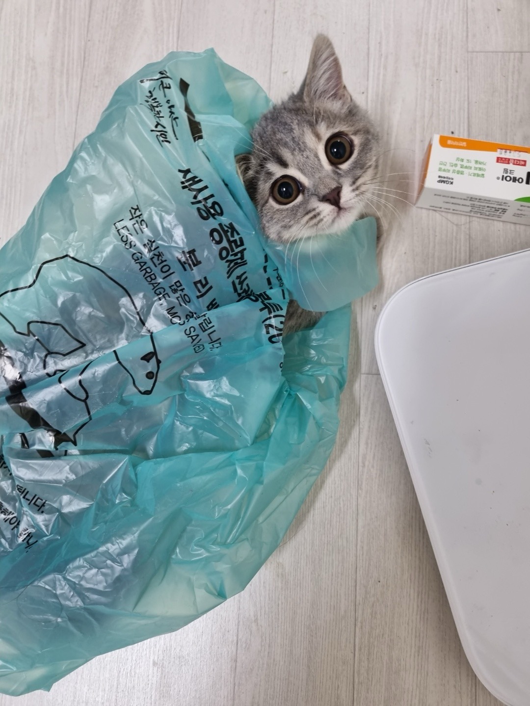 잘생긴남성우대