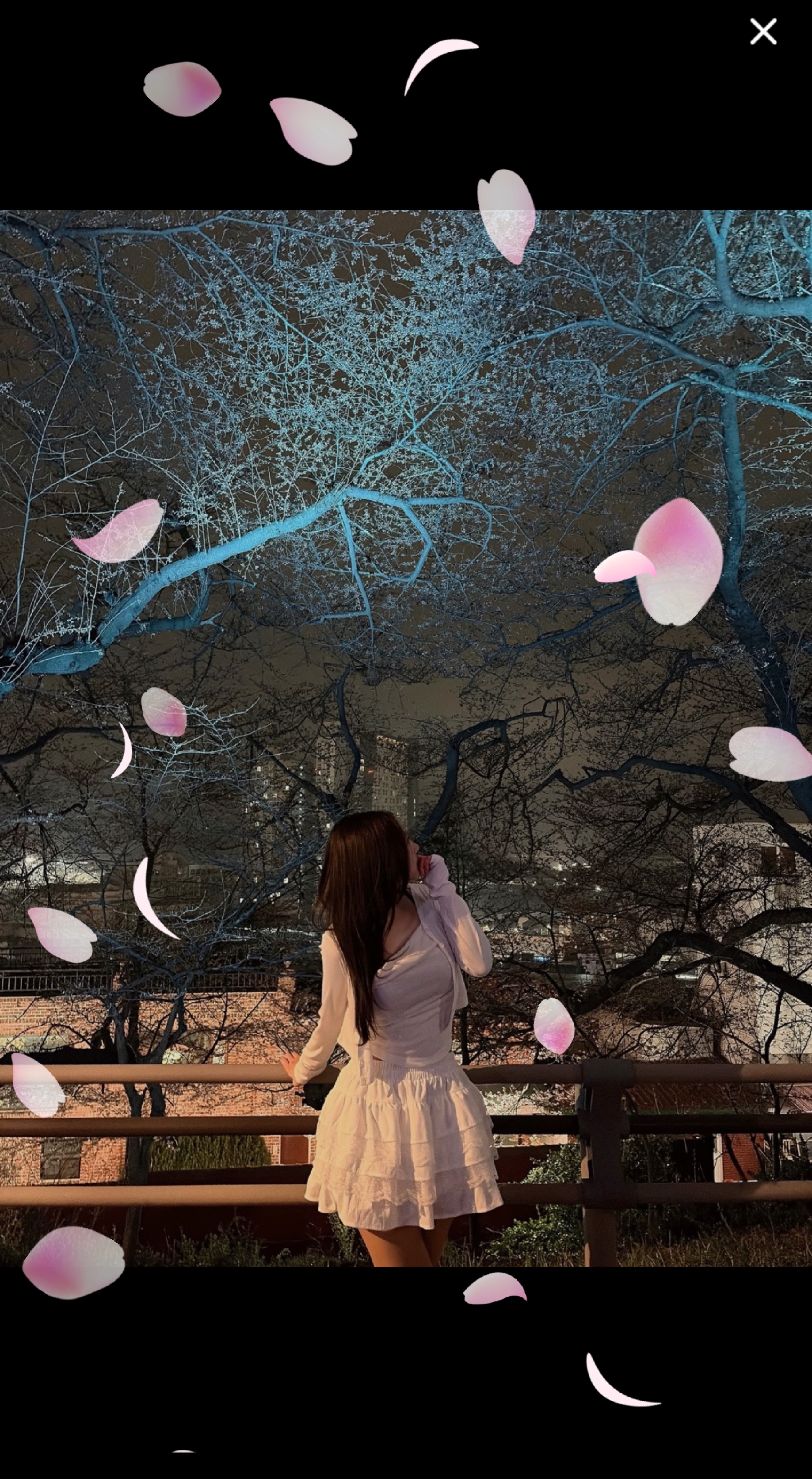 앨리스 400일🤍(캔디 맛집🍭)