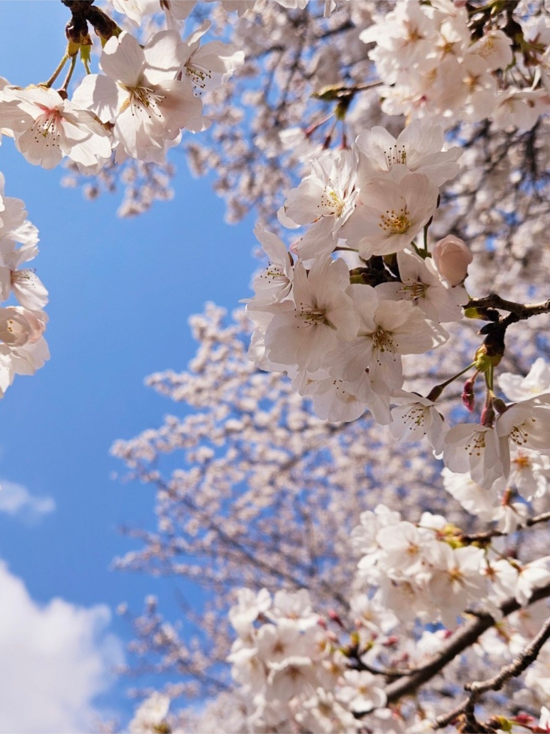 3040 잠깐와볼래?