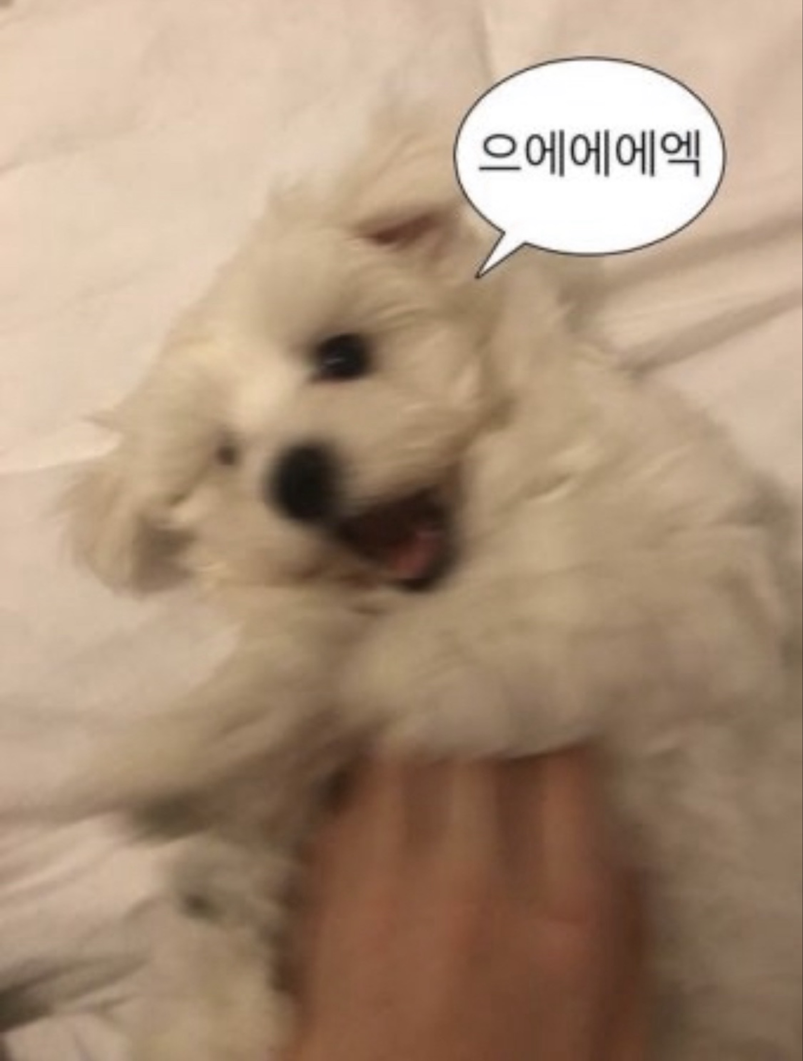 소통&고문(방치당하네)