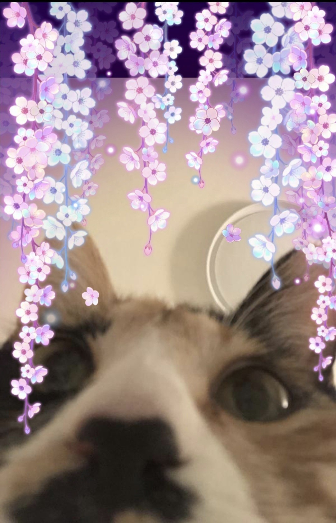 소통 반 노래 반