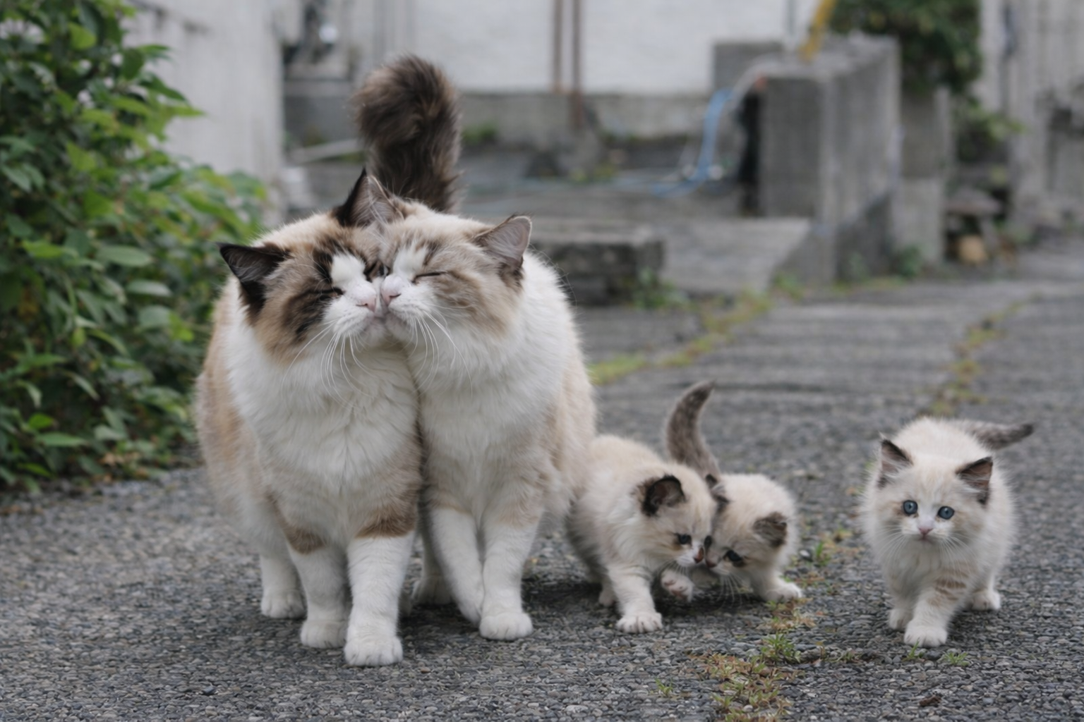 신ㄴ..ㅏ는...월요일;