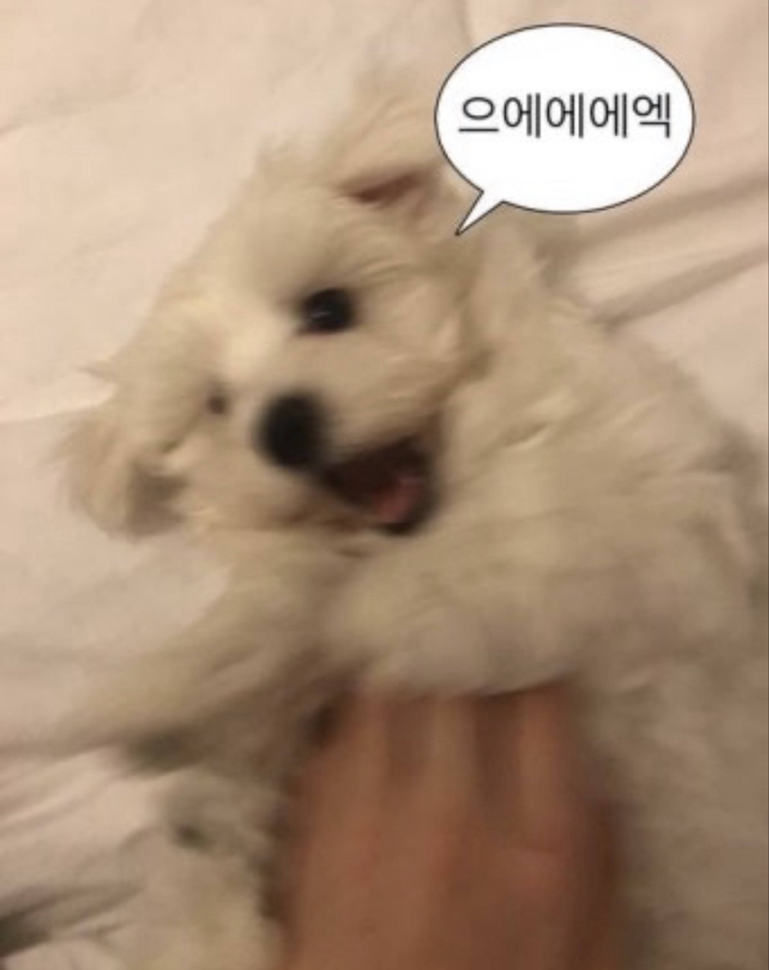 올라와서 소통 하세요