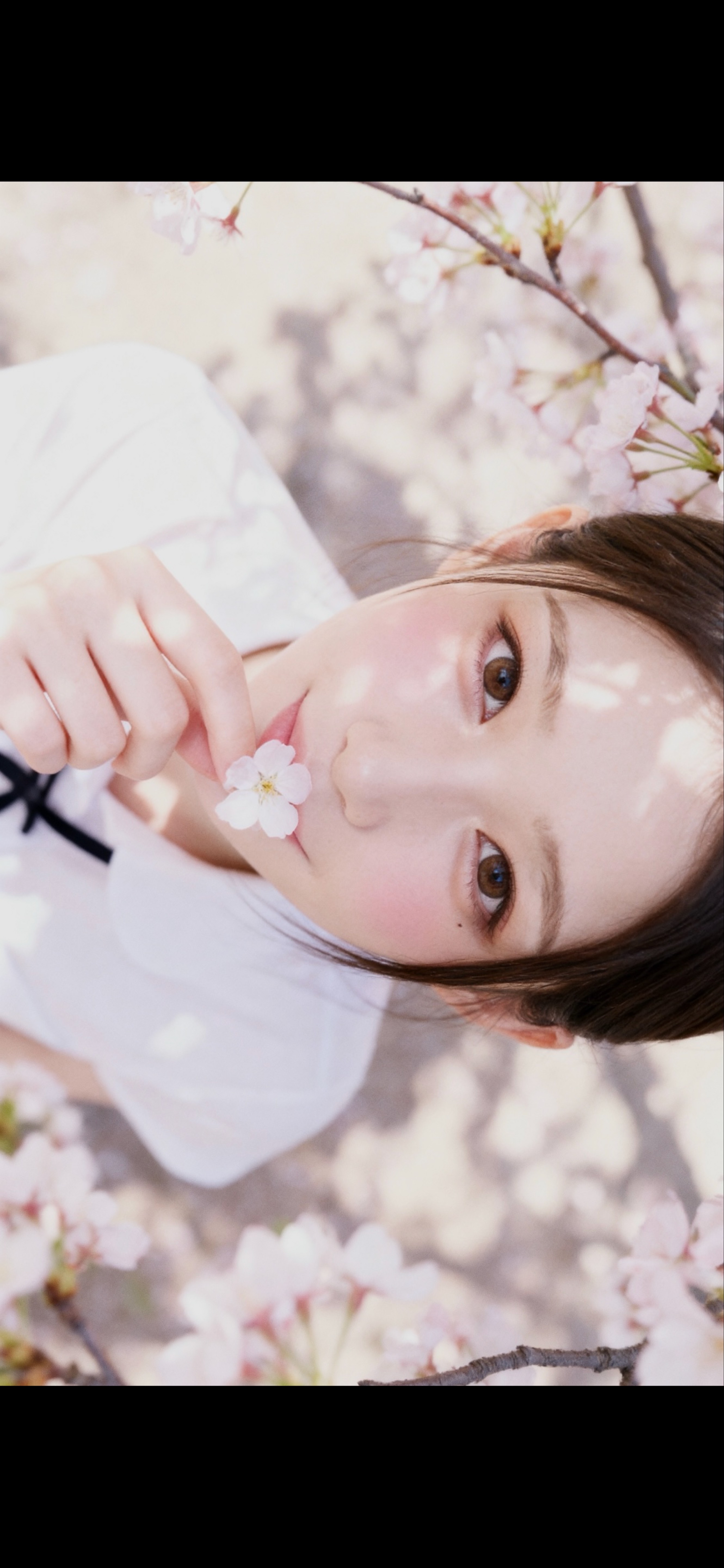 갱상도얼짱 ғᴍ¹ / 월요팅🍀✨