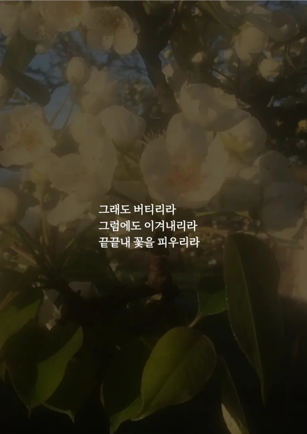 생각 많으신가요?🙀🤭🤭🤭