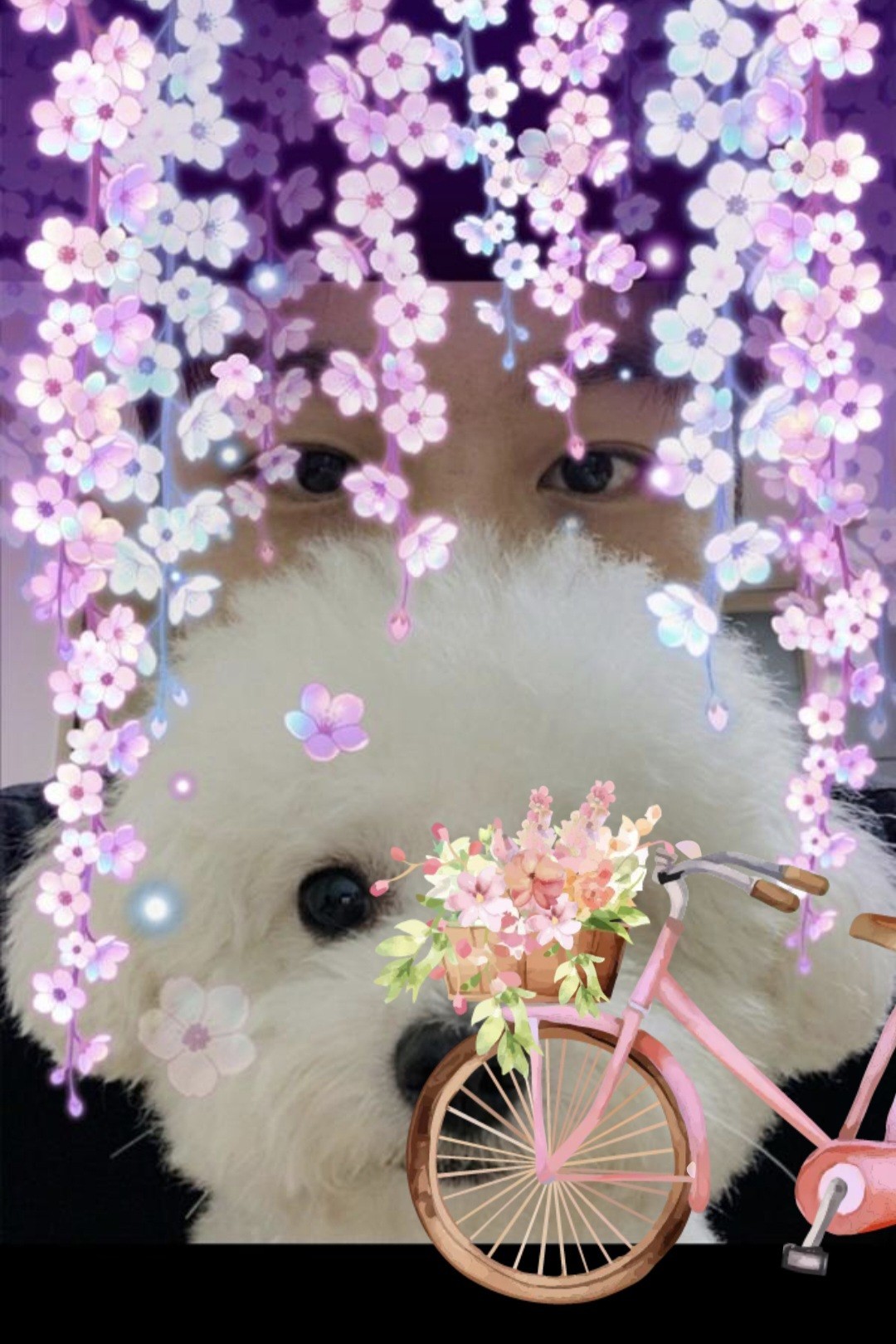 뉴페이스 대환영 🤍