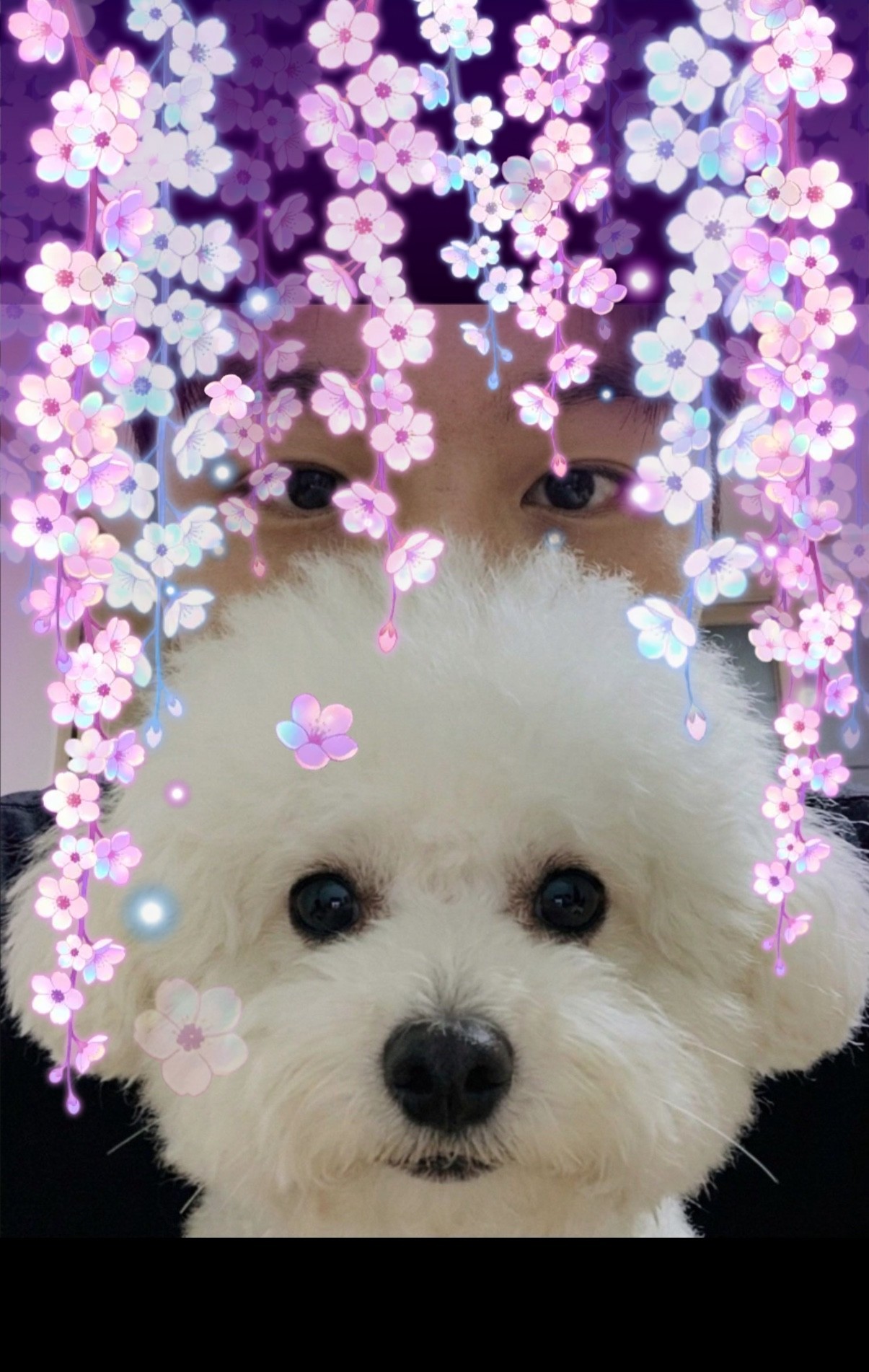 뉴페이스 대환영 🤍