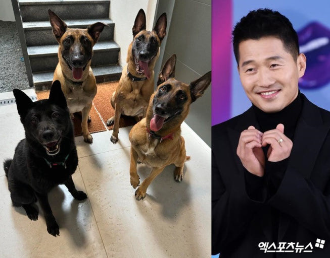 거 비토 좀 주쇼 !