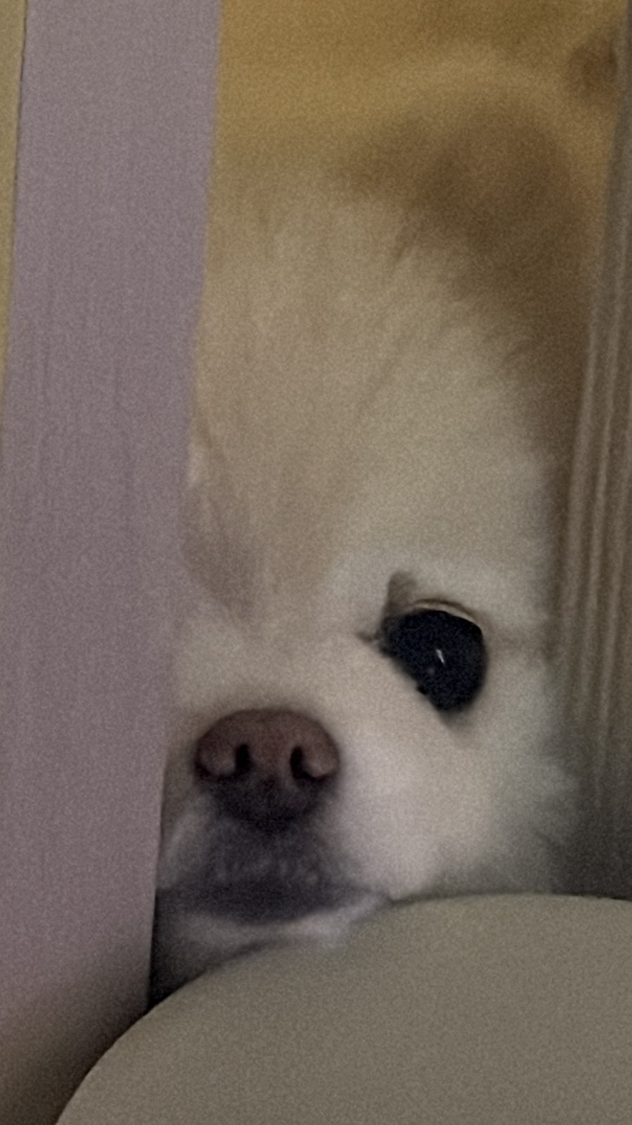 오늘은 같이 있어줘요🌙