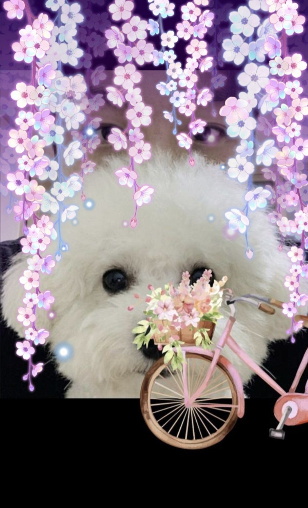 존잘 존예 사투리 ㄱㄱㄱㄱㄱ