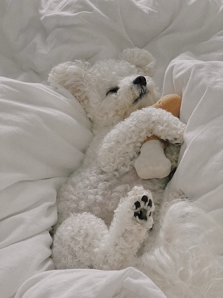 할 거 하십시오.