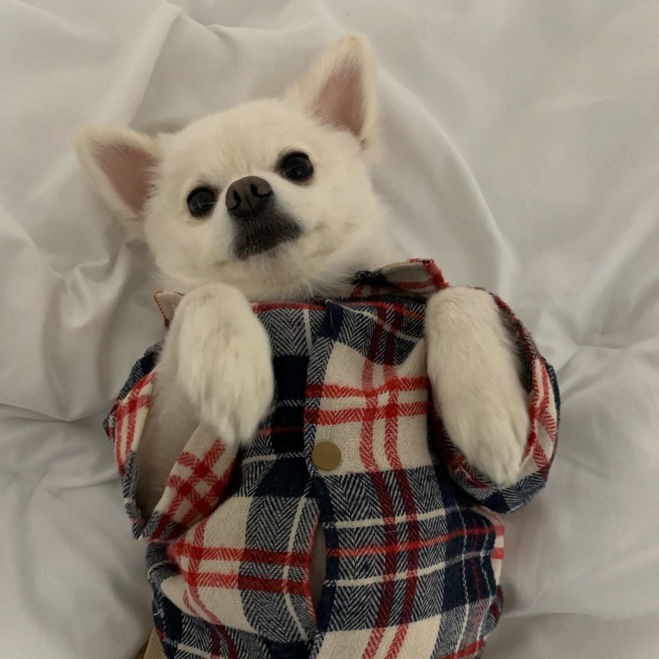 좋은 저녁이야 ✨