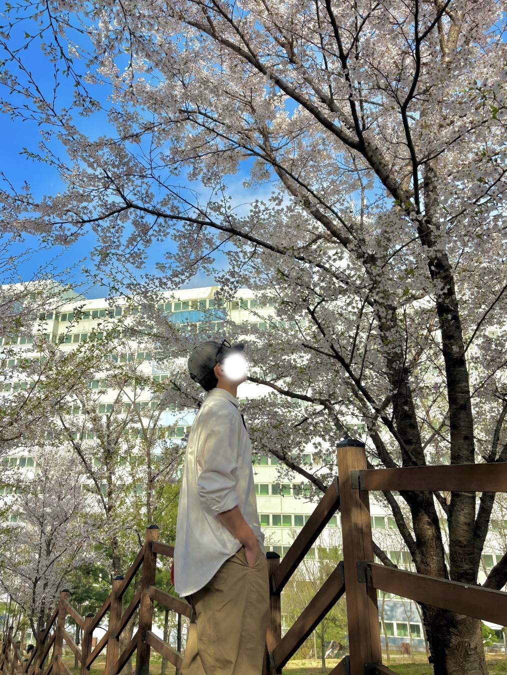 🚨너만 솔로인 소개팅🩵