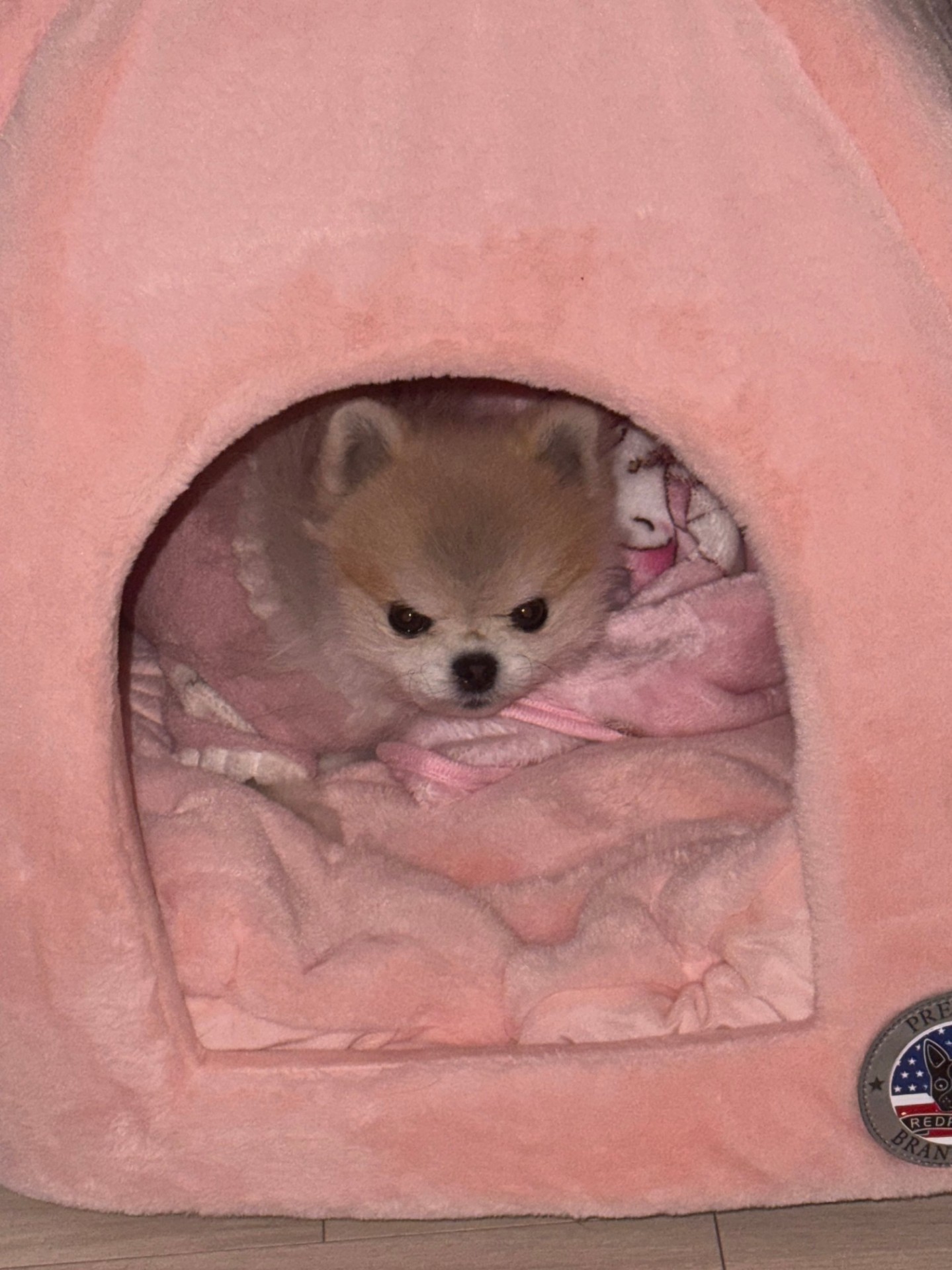 # 오늘도감사감사욤