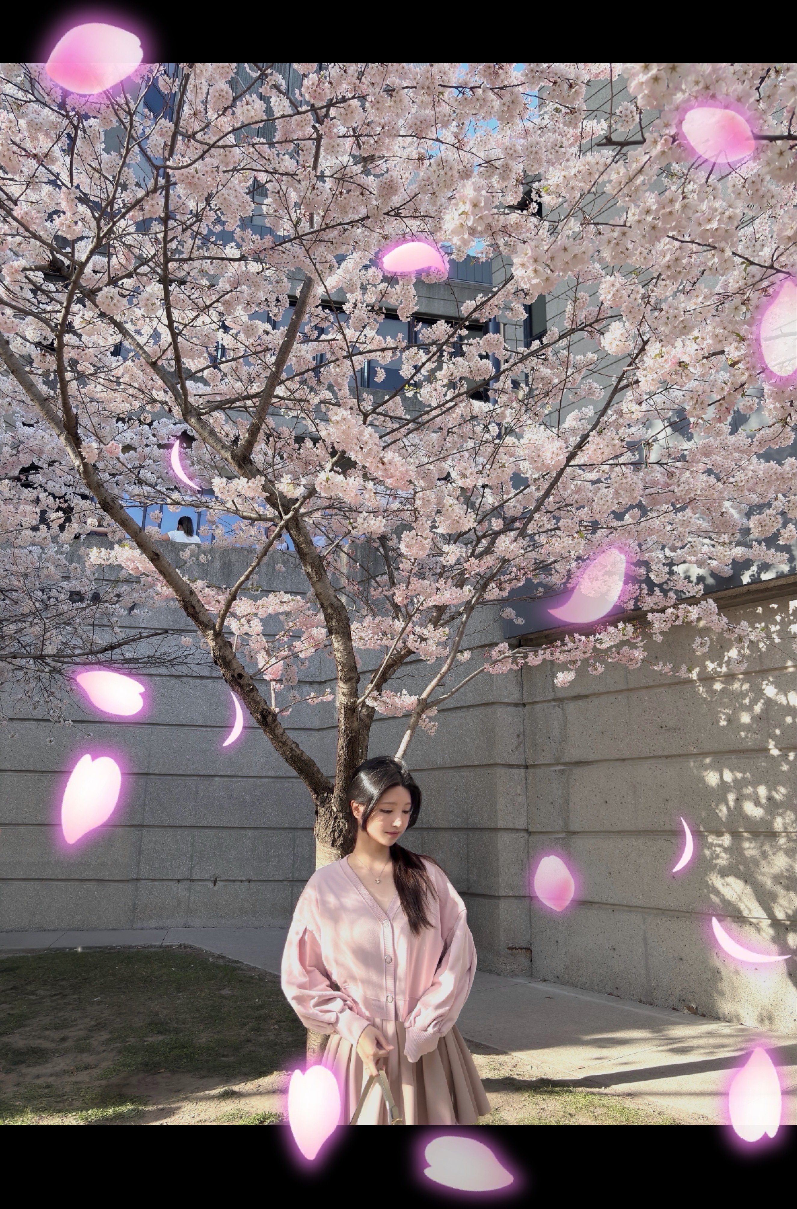 🤍 보고싶었다구 말해