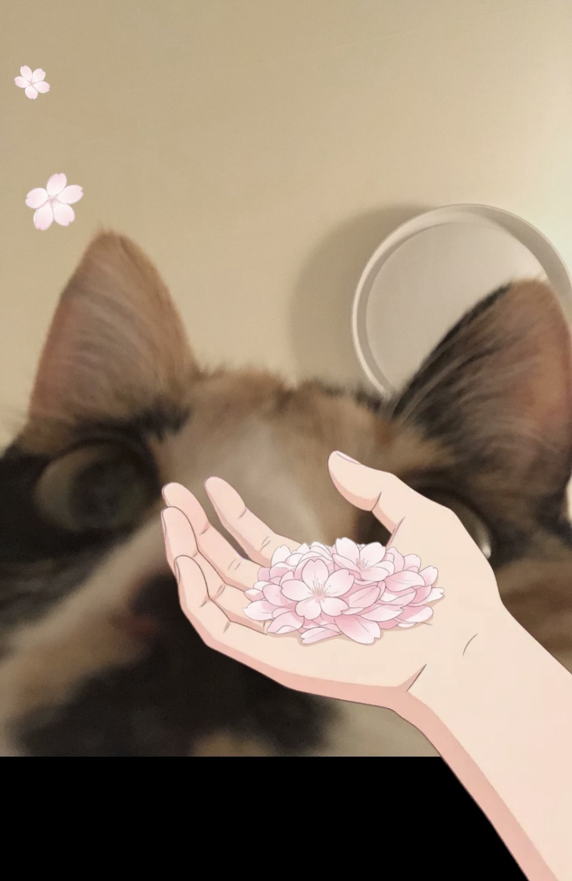 음원같은 라이부