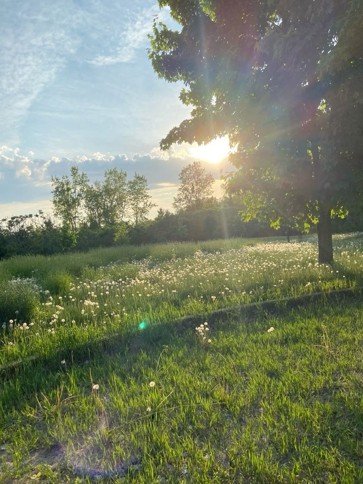 아침💕[전체연령가]