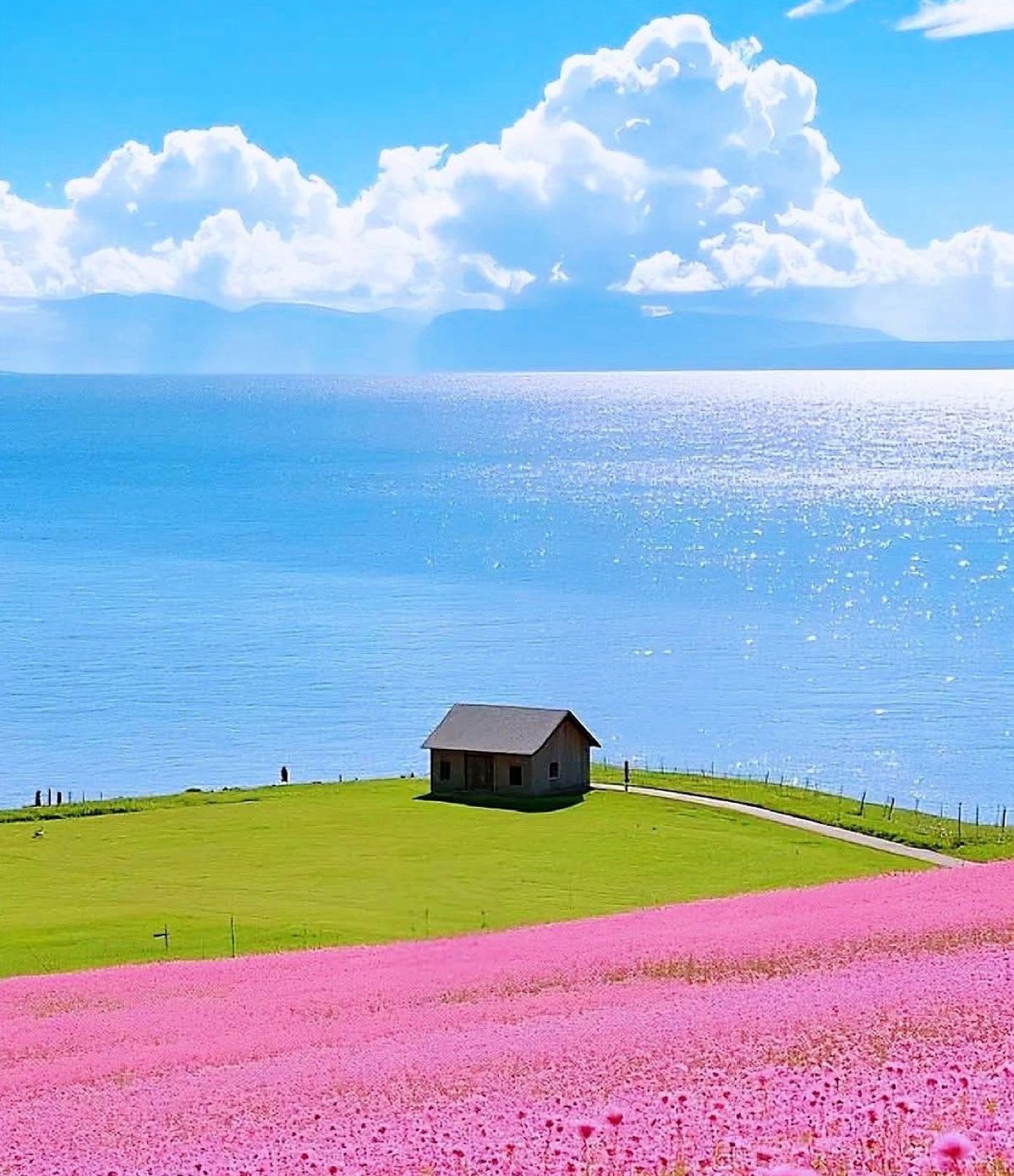 점심💕[전체연령가]