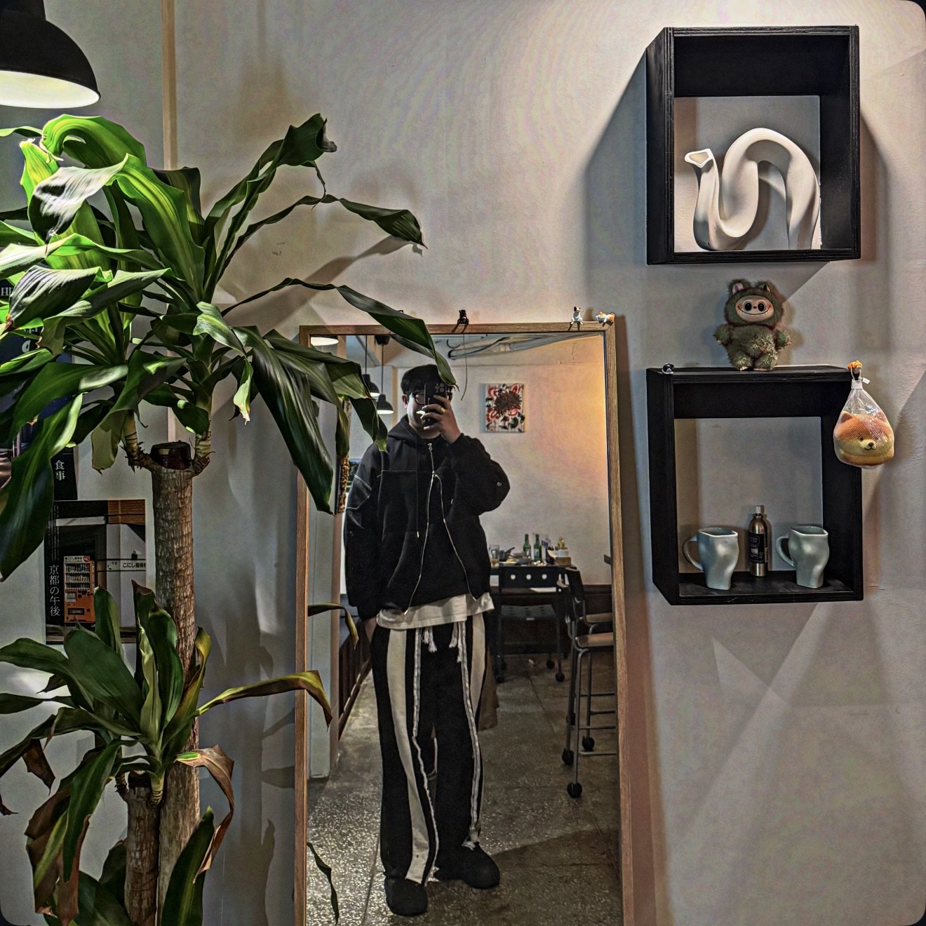 크면 좋아함(키X)