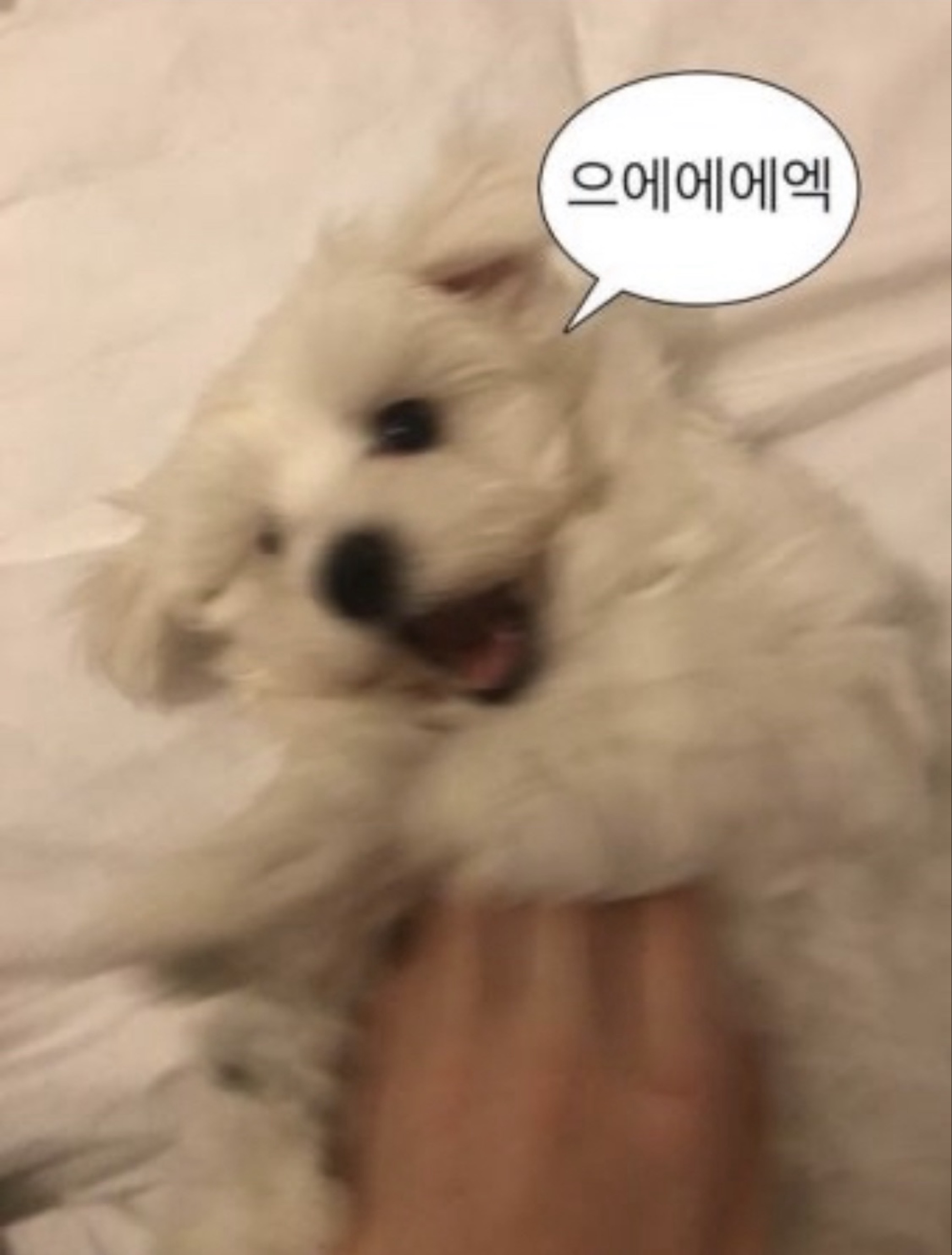 잠도 못자고 킨 소통