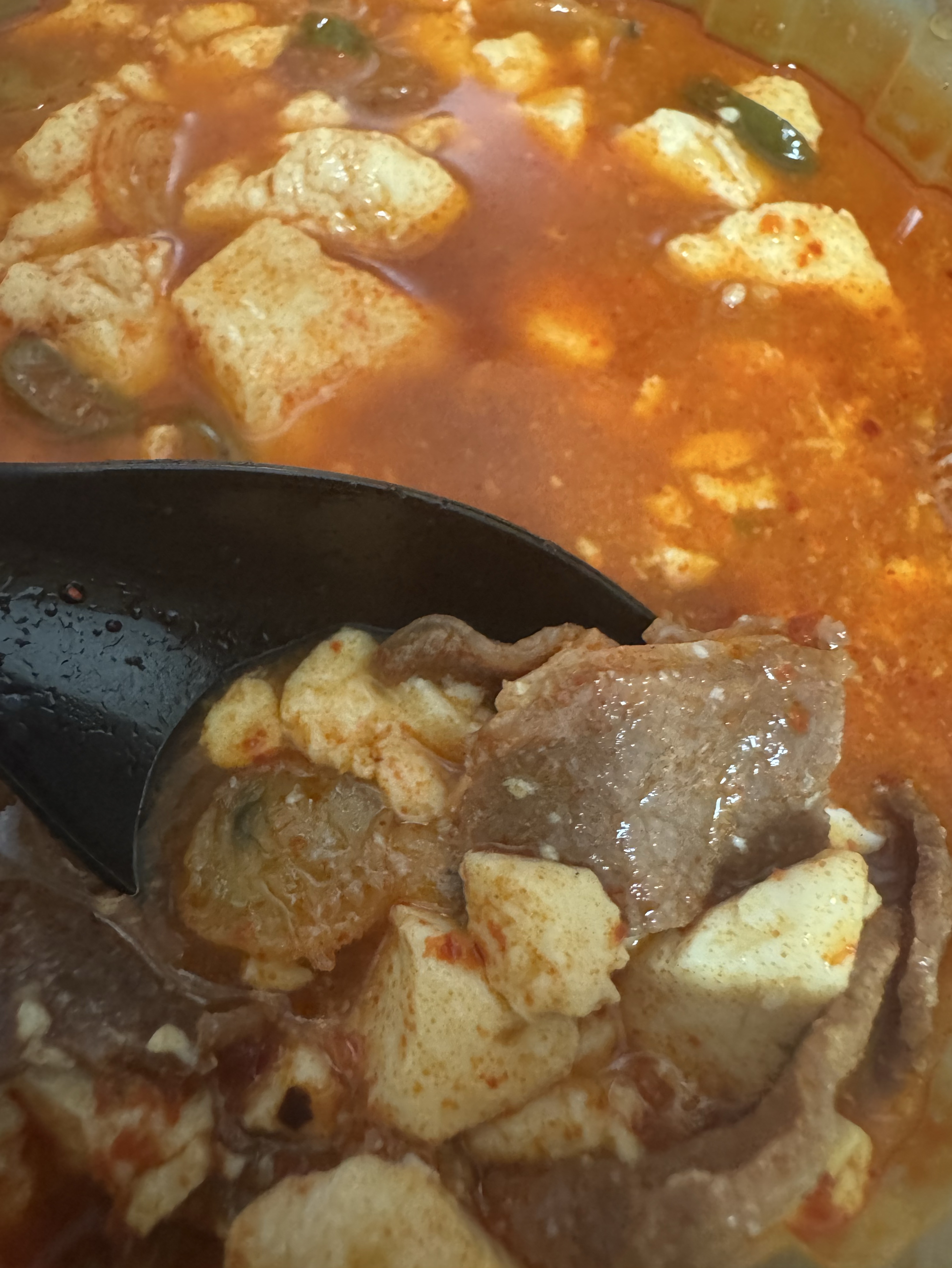 점심💕[전체연령가]