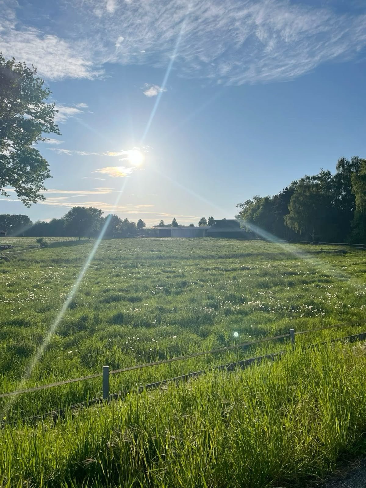 아침💕[전체연령가]
