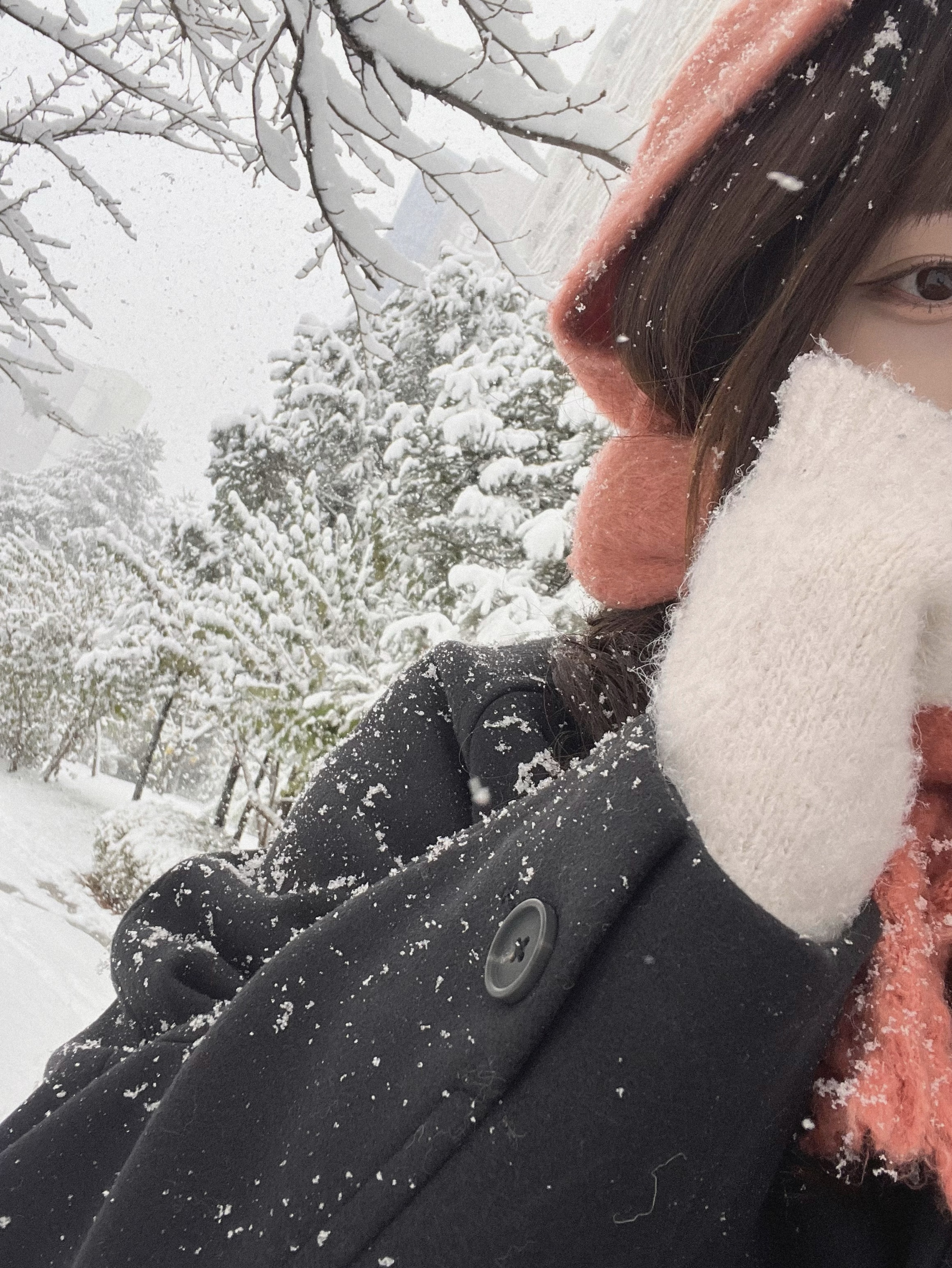 좋은 꿈 꿔  - ☘︎