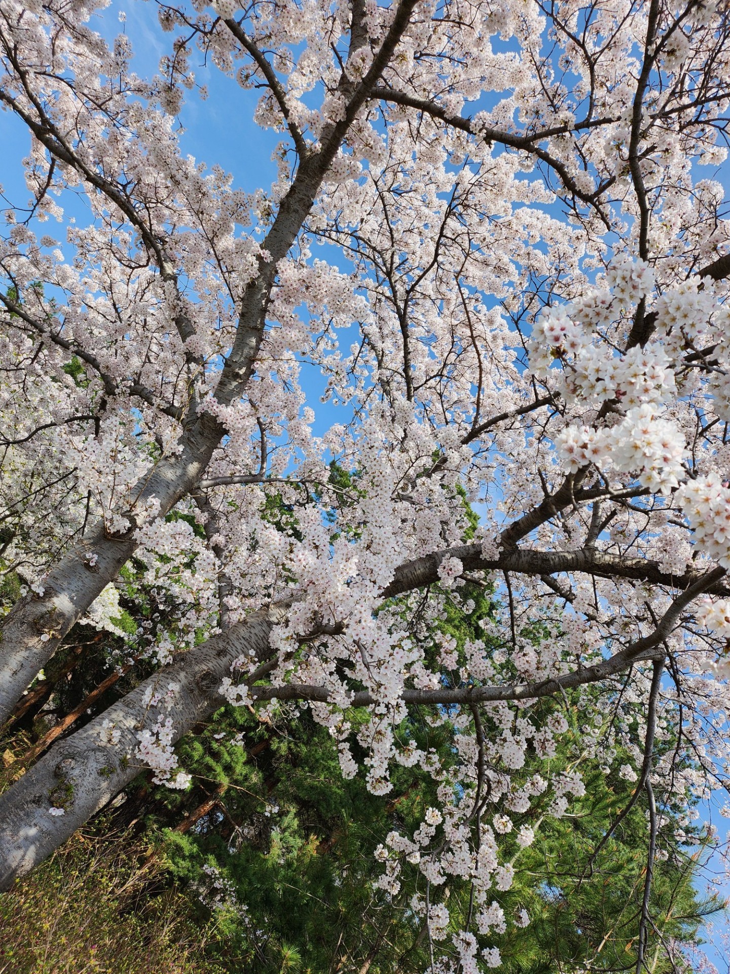 34) 좋은 아침이야 !😆🎵