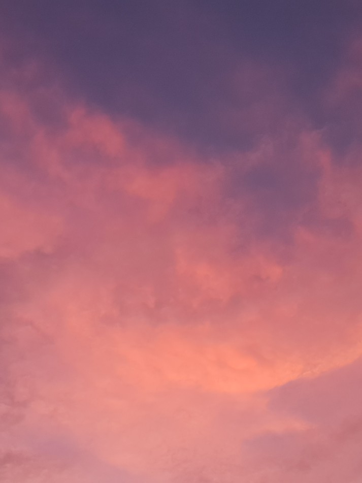 편하게놀아용 💕