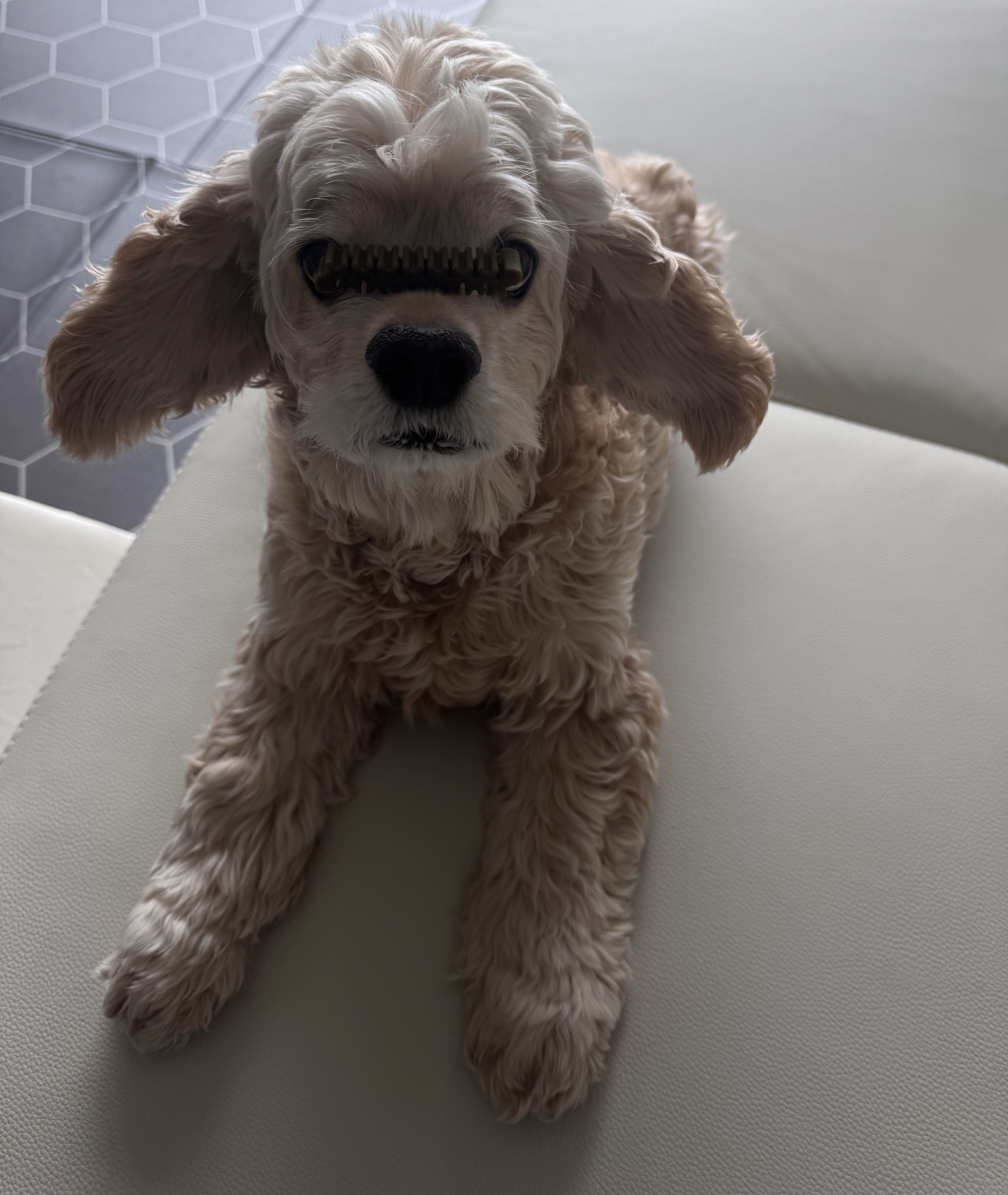 우리만을 위한 소통