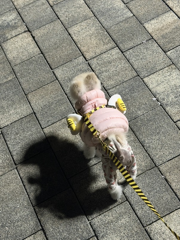 # 7시에만나요 렉스예수