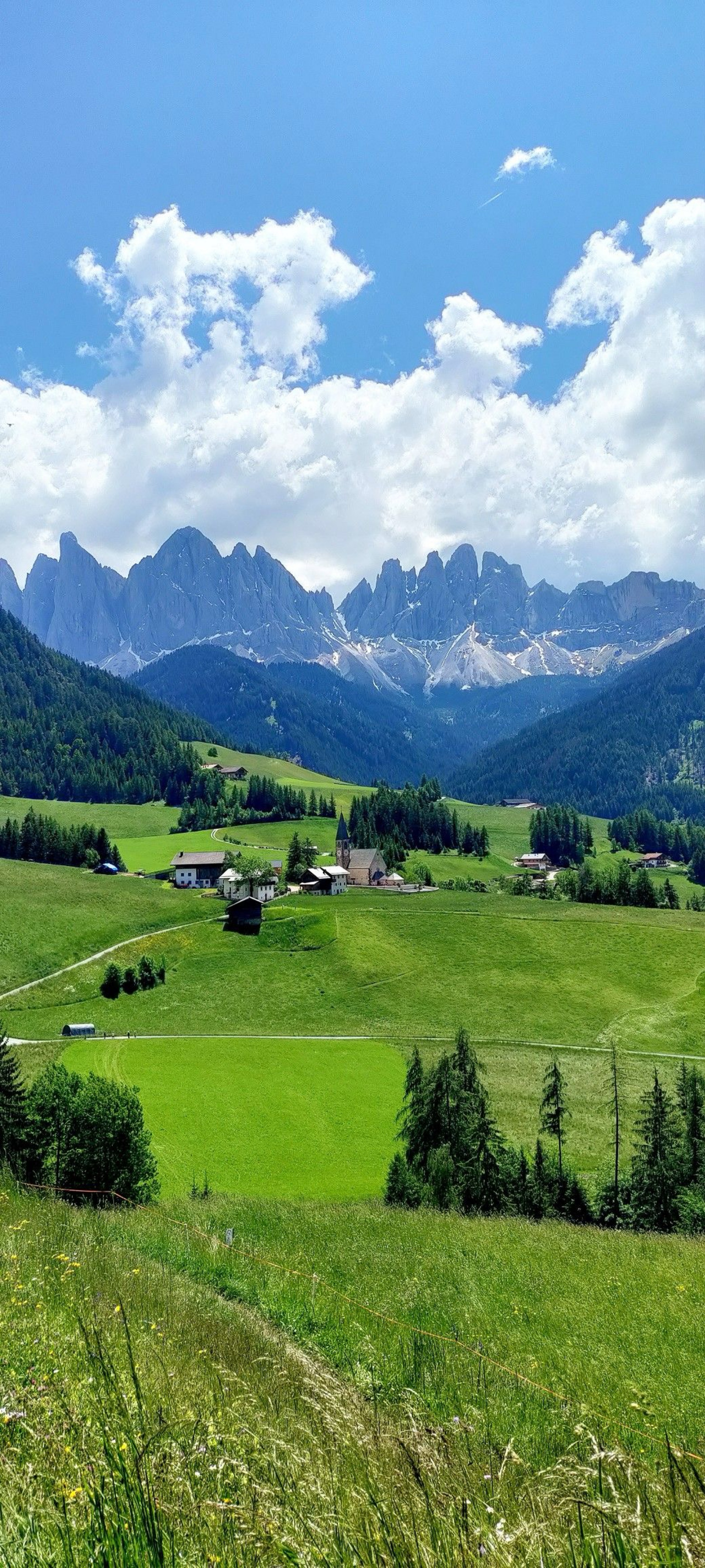 아침💕 토크하실분