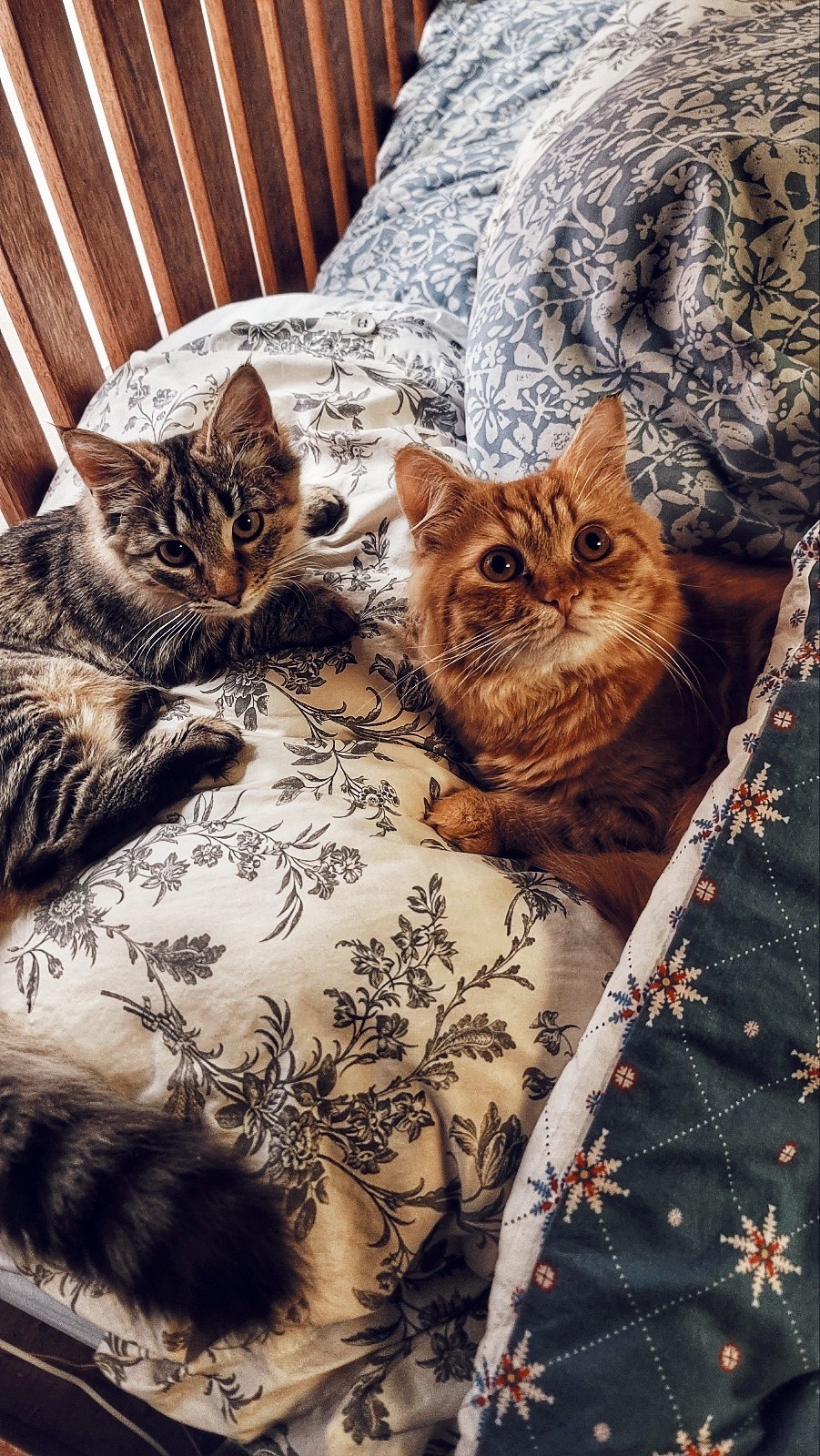 비로소 봄이오면 당신을 꺼내봅니다🌷