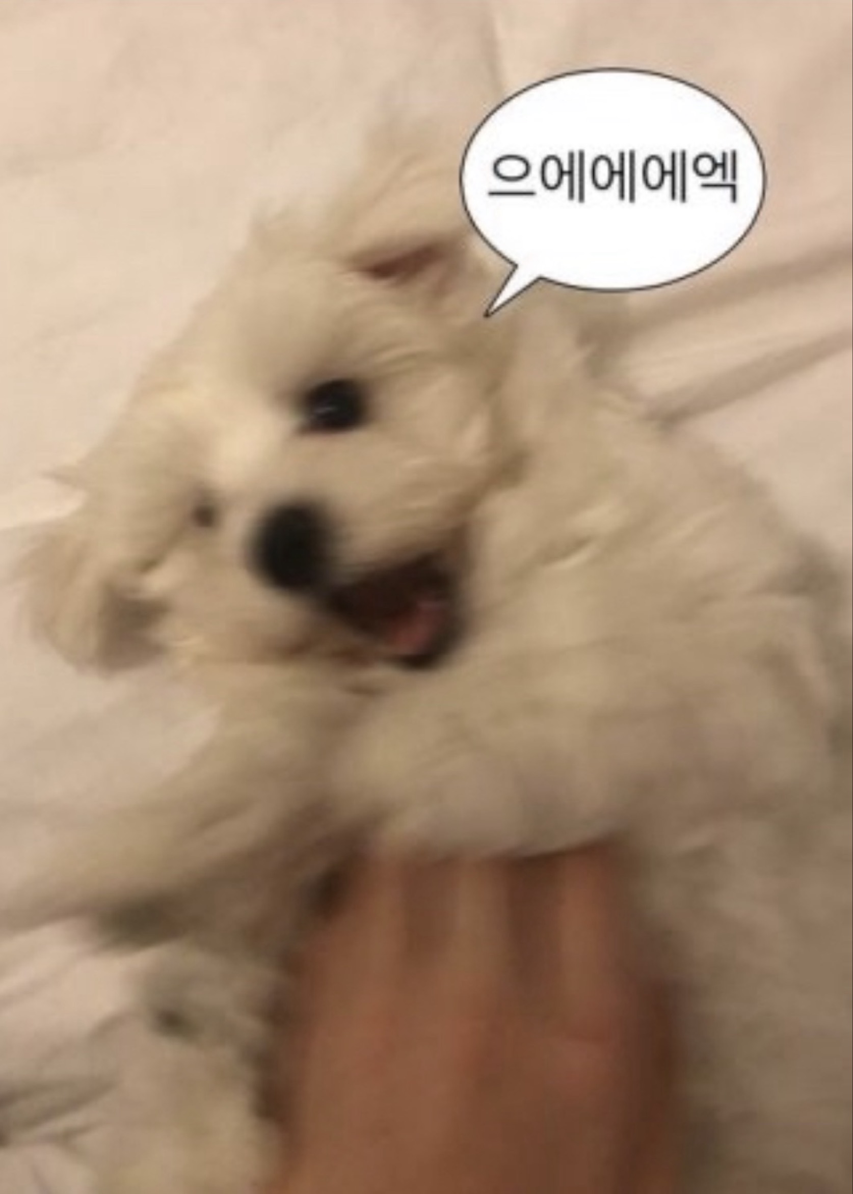 디제이는 채팅으로 하는 소통..