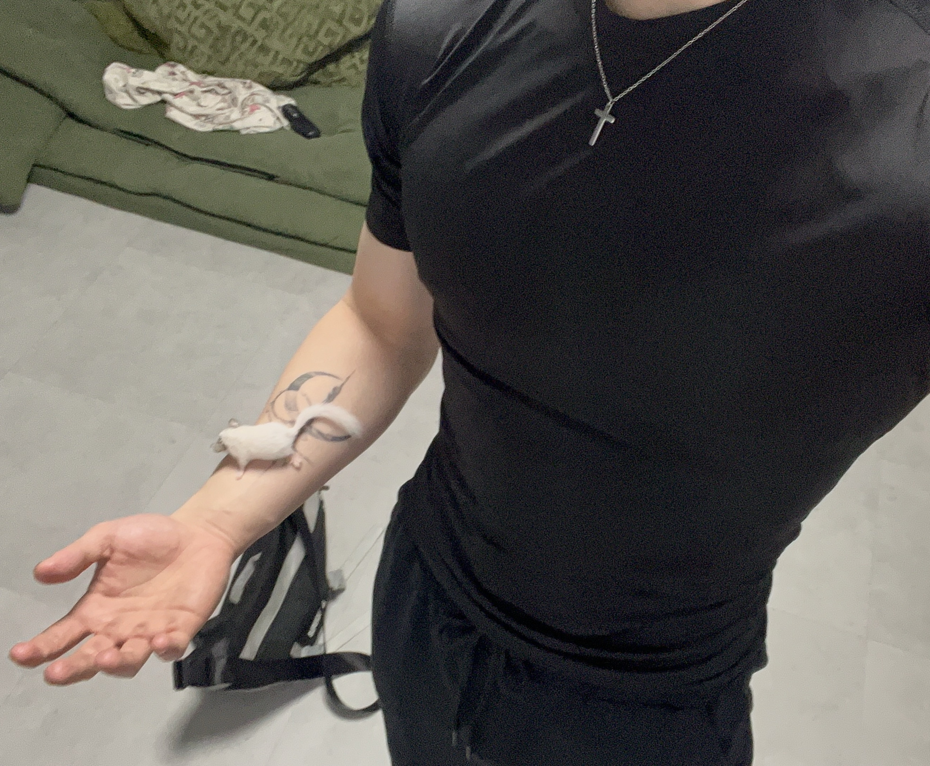 내방엔 사람이 올까? ㅠ