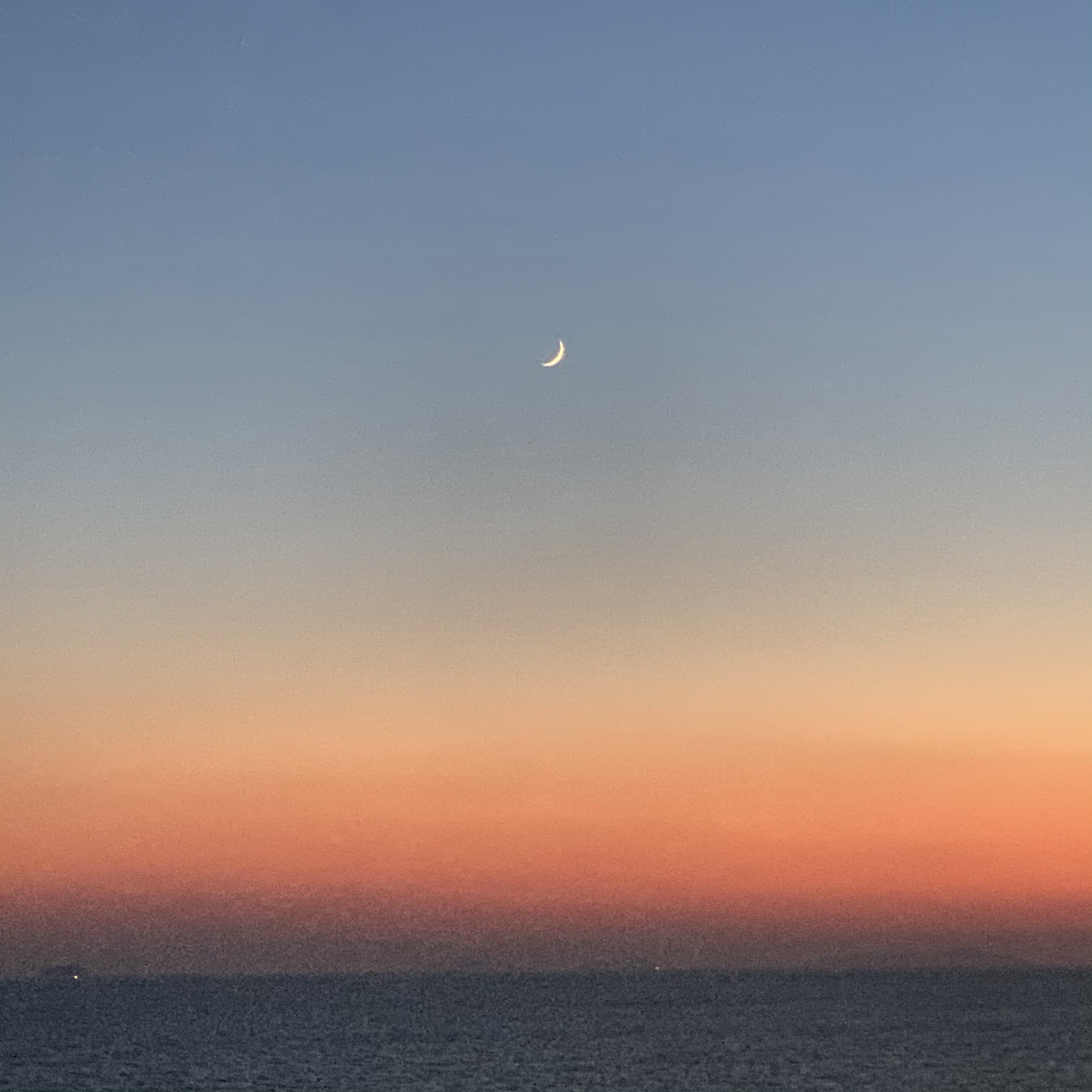 도태한남과 대화하실 여성분 모집 공고