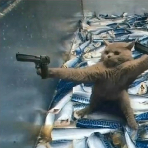 흐르는 물이 도이..