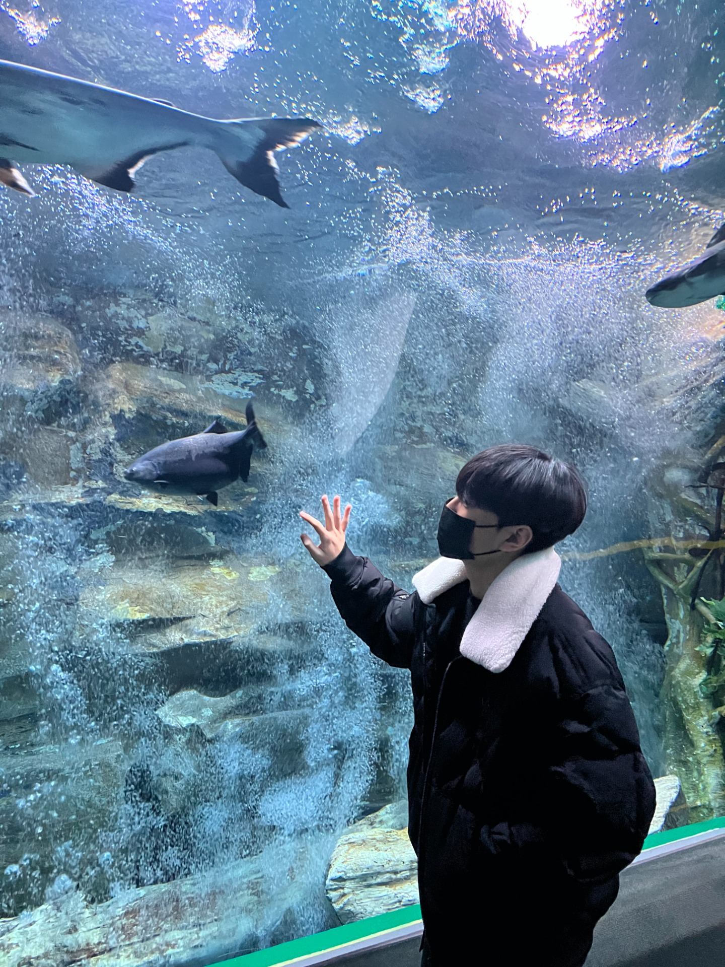 레전드 일반 디제이 입니다.