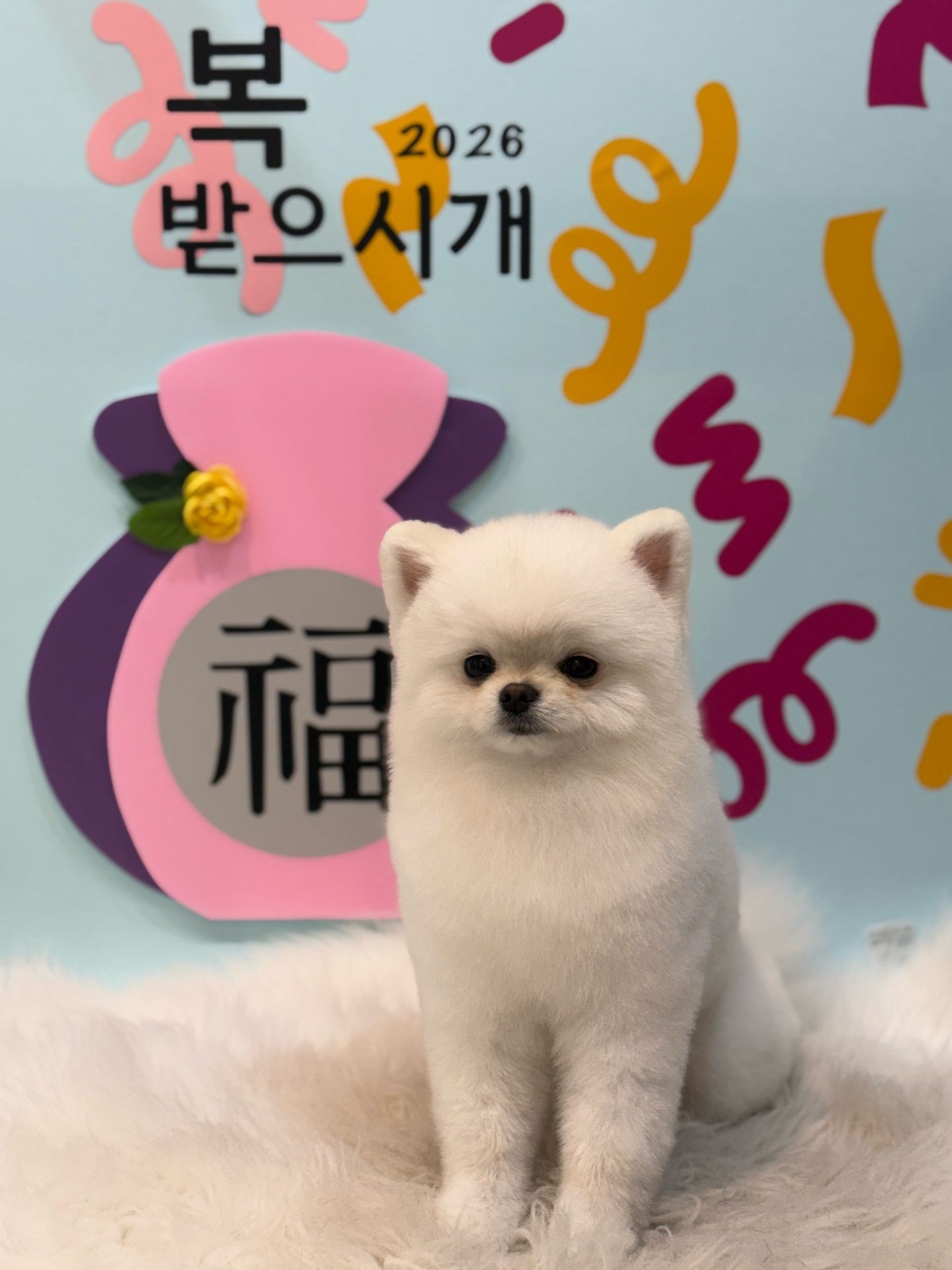 마감 담좌 진로 애플 ㄱㄱㄱㄱ