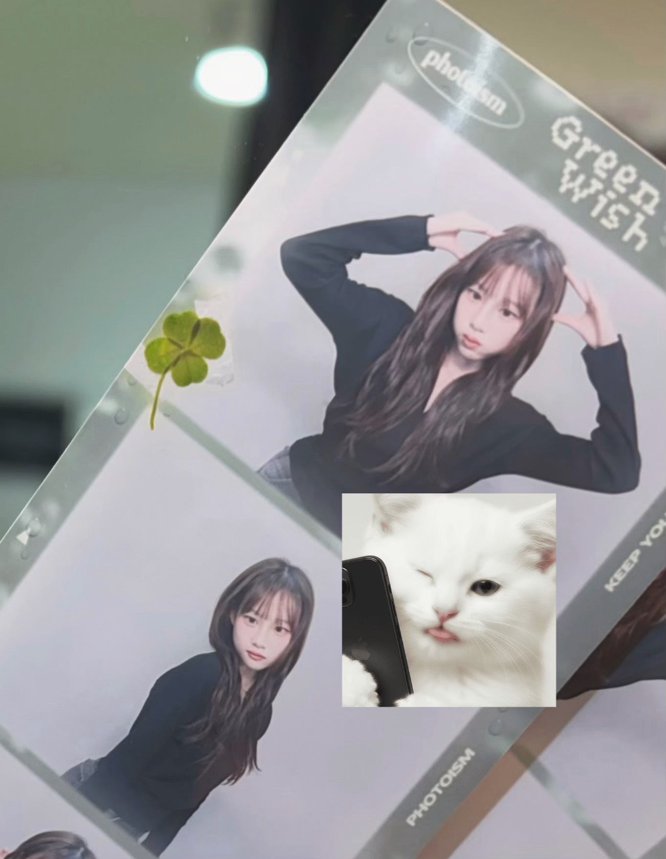 뭐가그리샘이나서