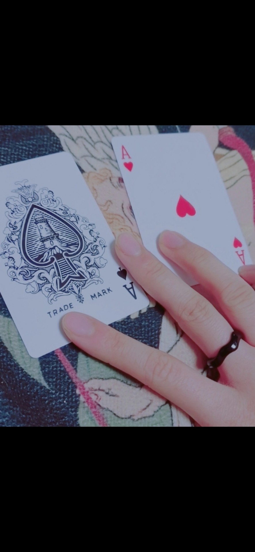 라콜or타로or작업(?)