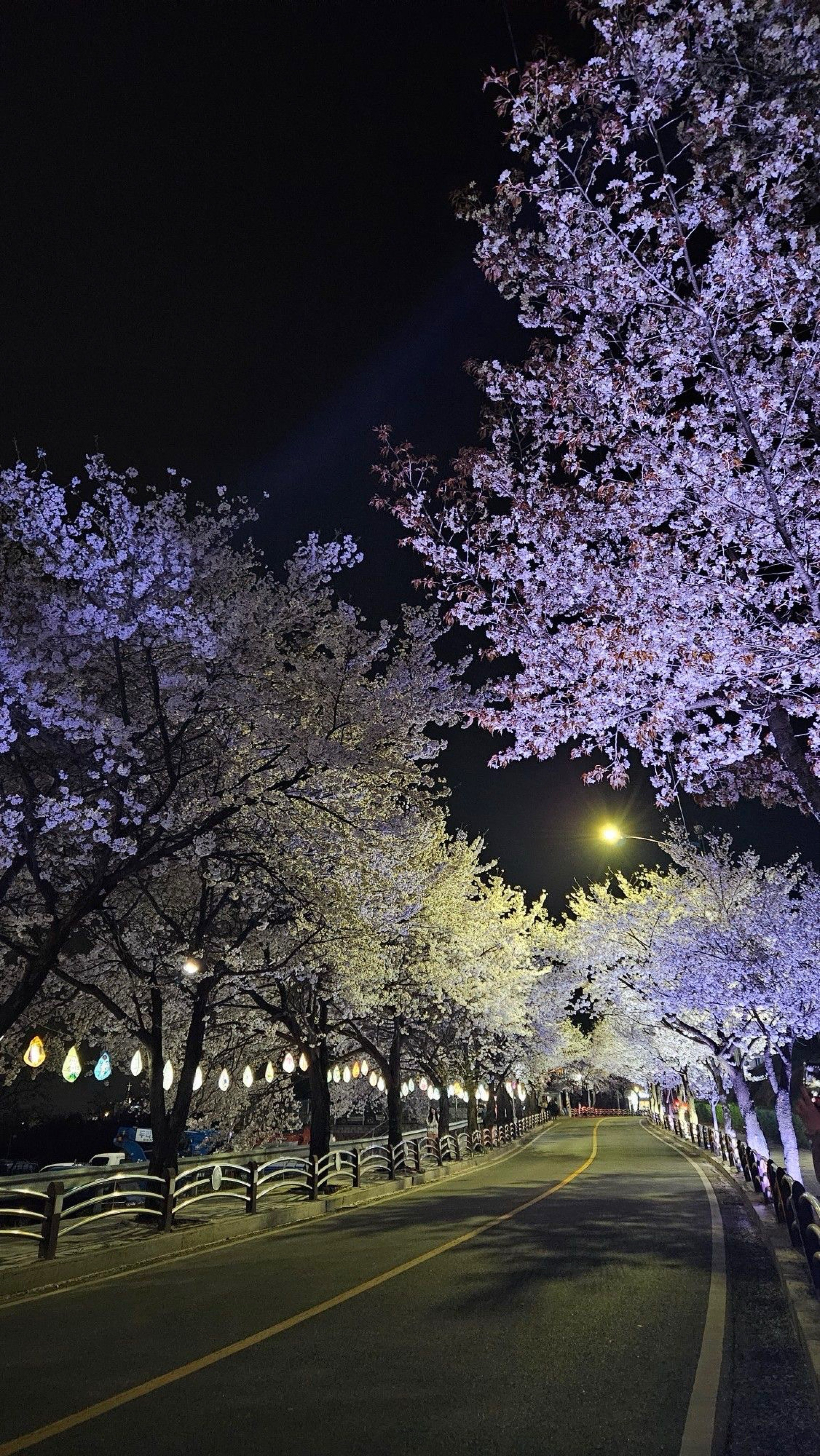 쉬었다 가세요💕