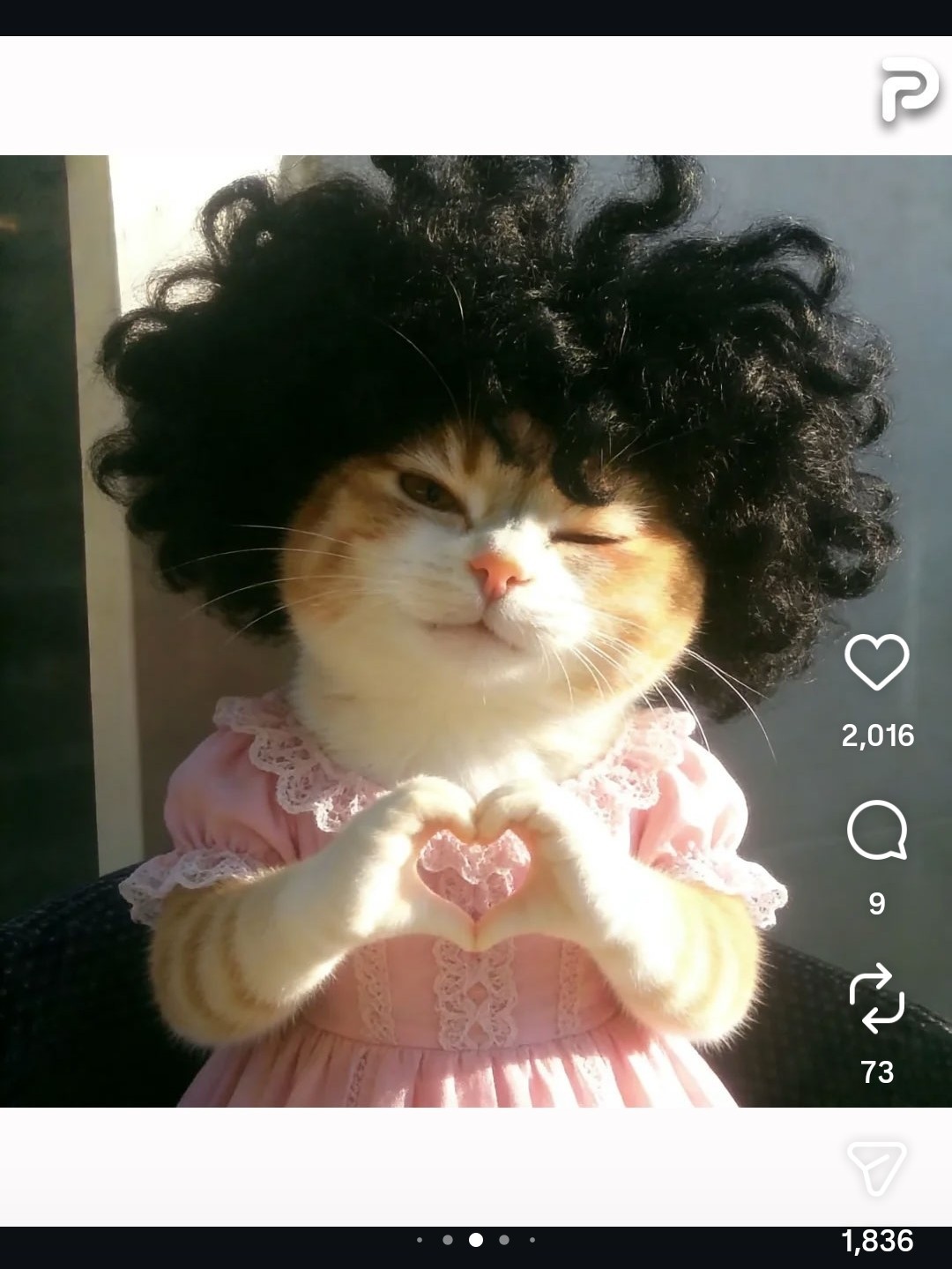 잔잔한 주말, 중저음 어때요?