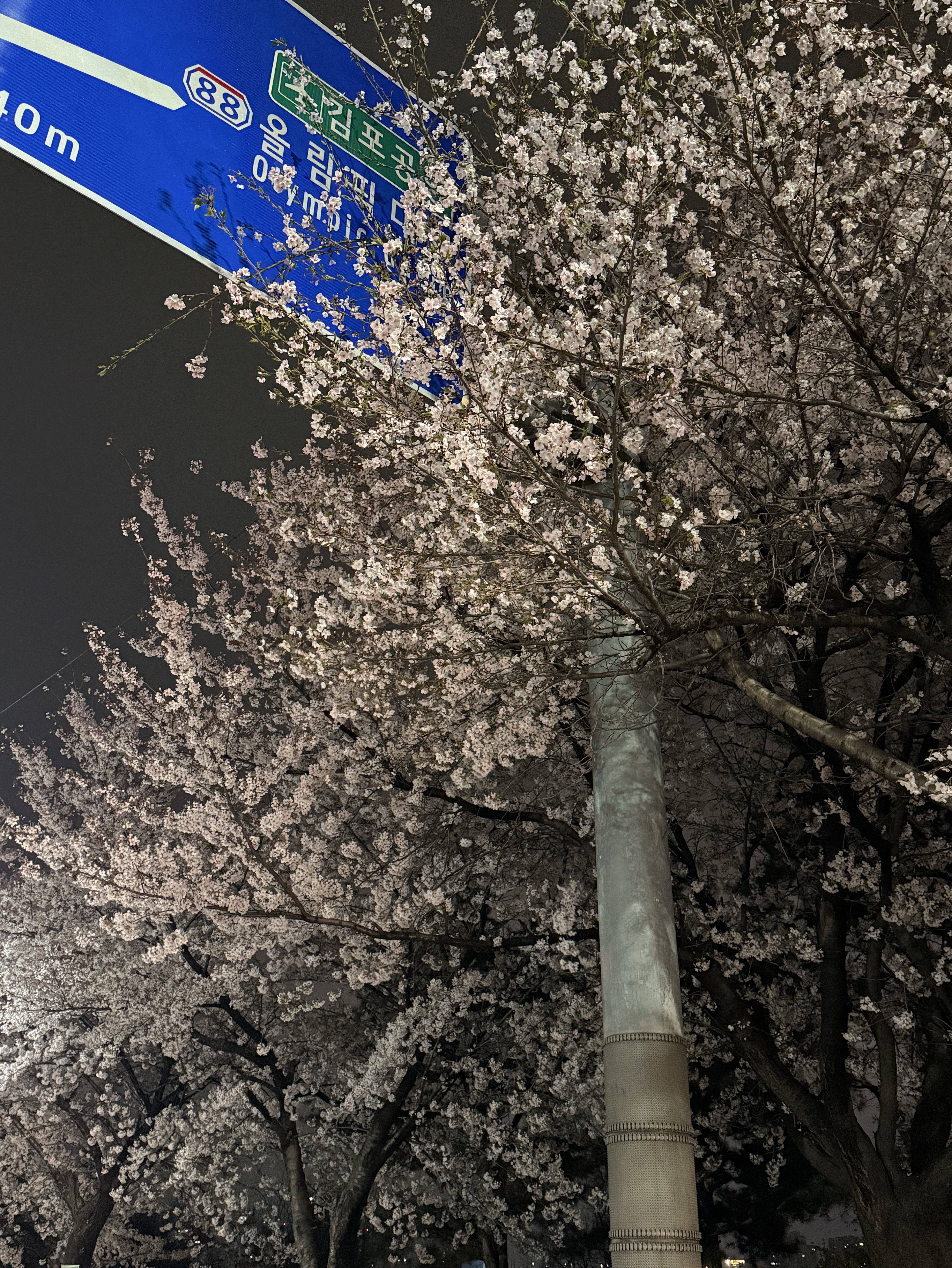 남자친구 여자친구 구해요