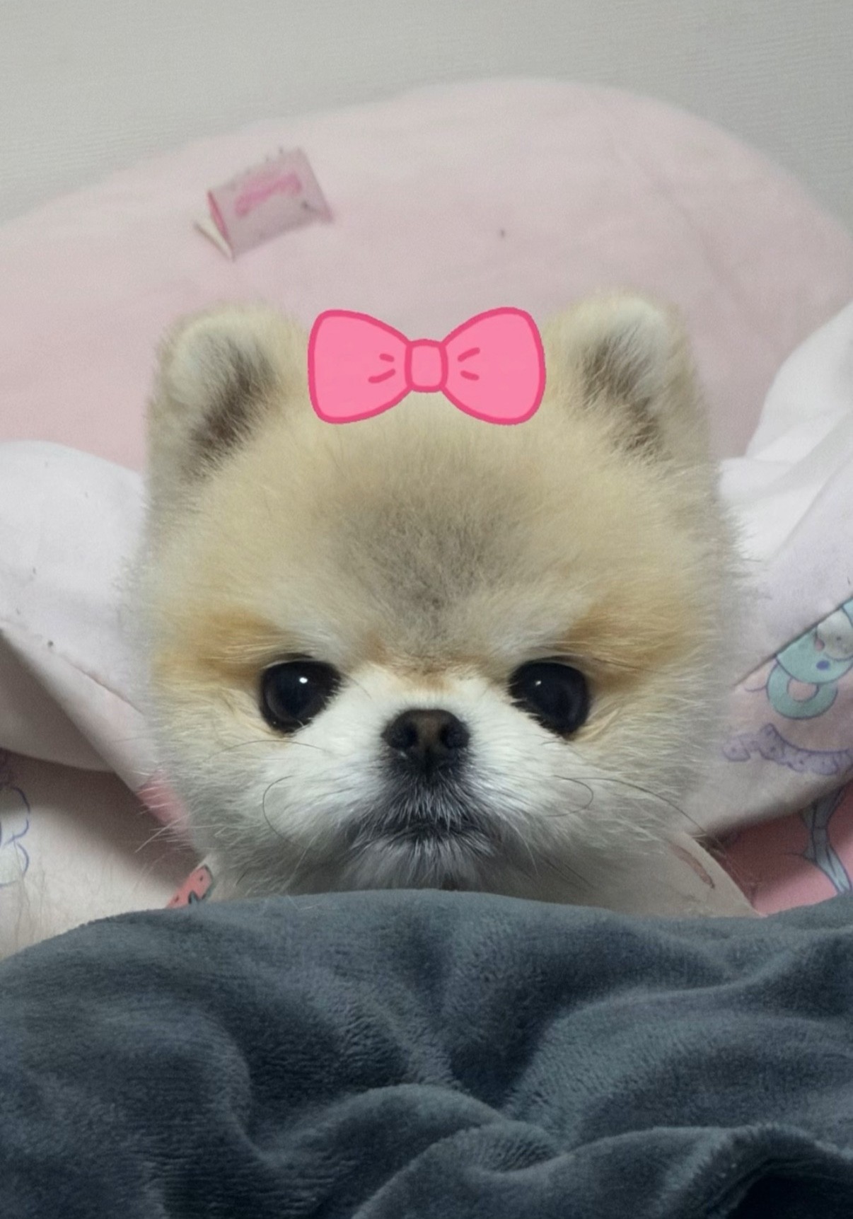 # 수호천사 들어올래 ?