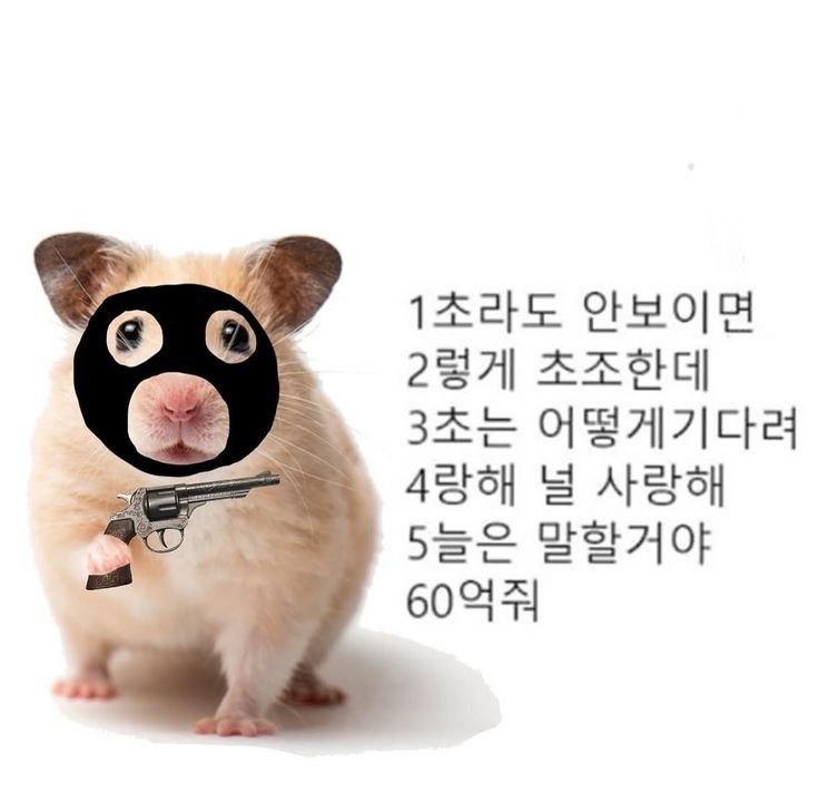 보고싶어