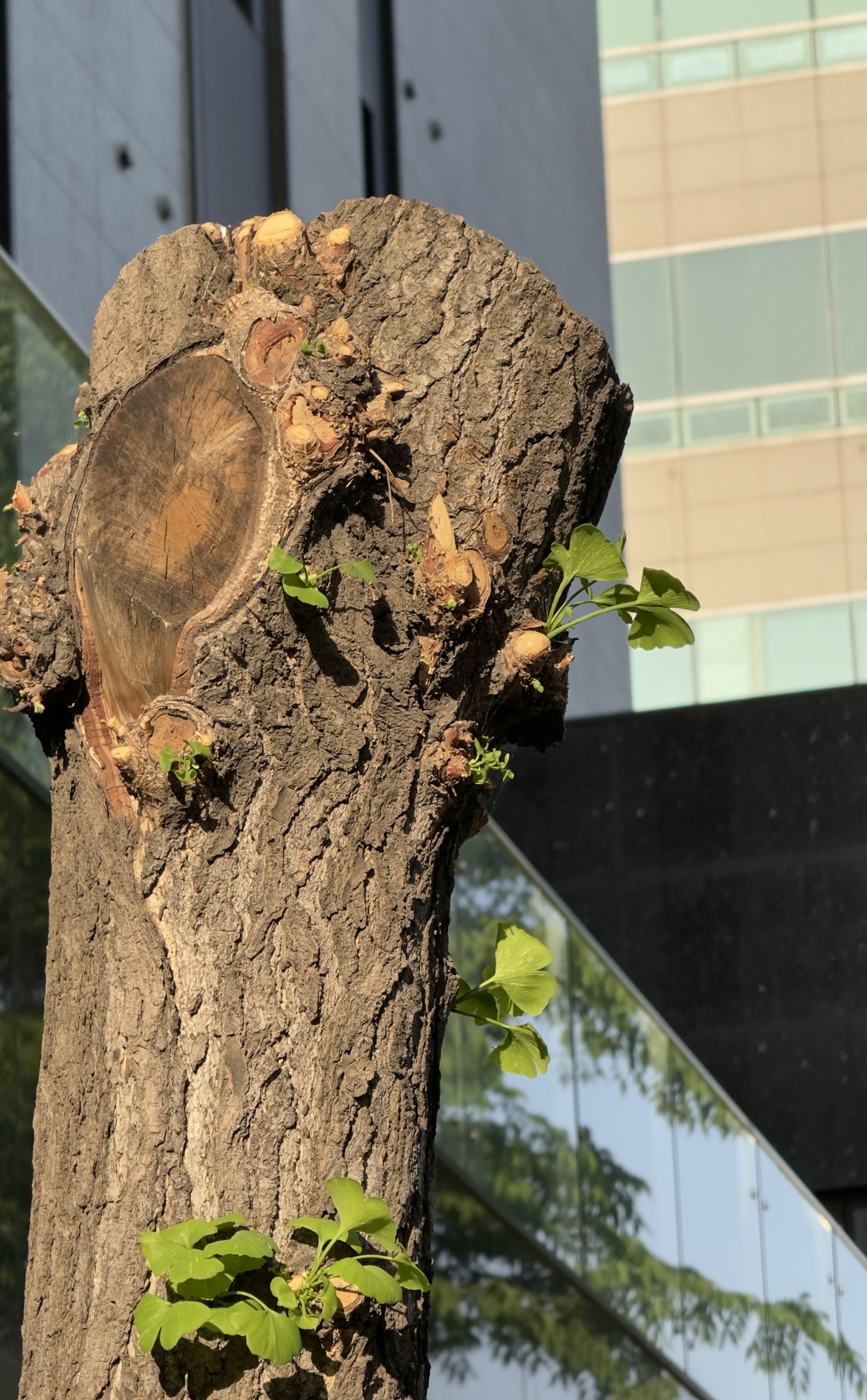 ☀️𝘥𝘢𝘺 ⠀