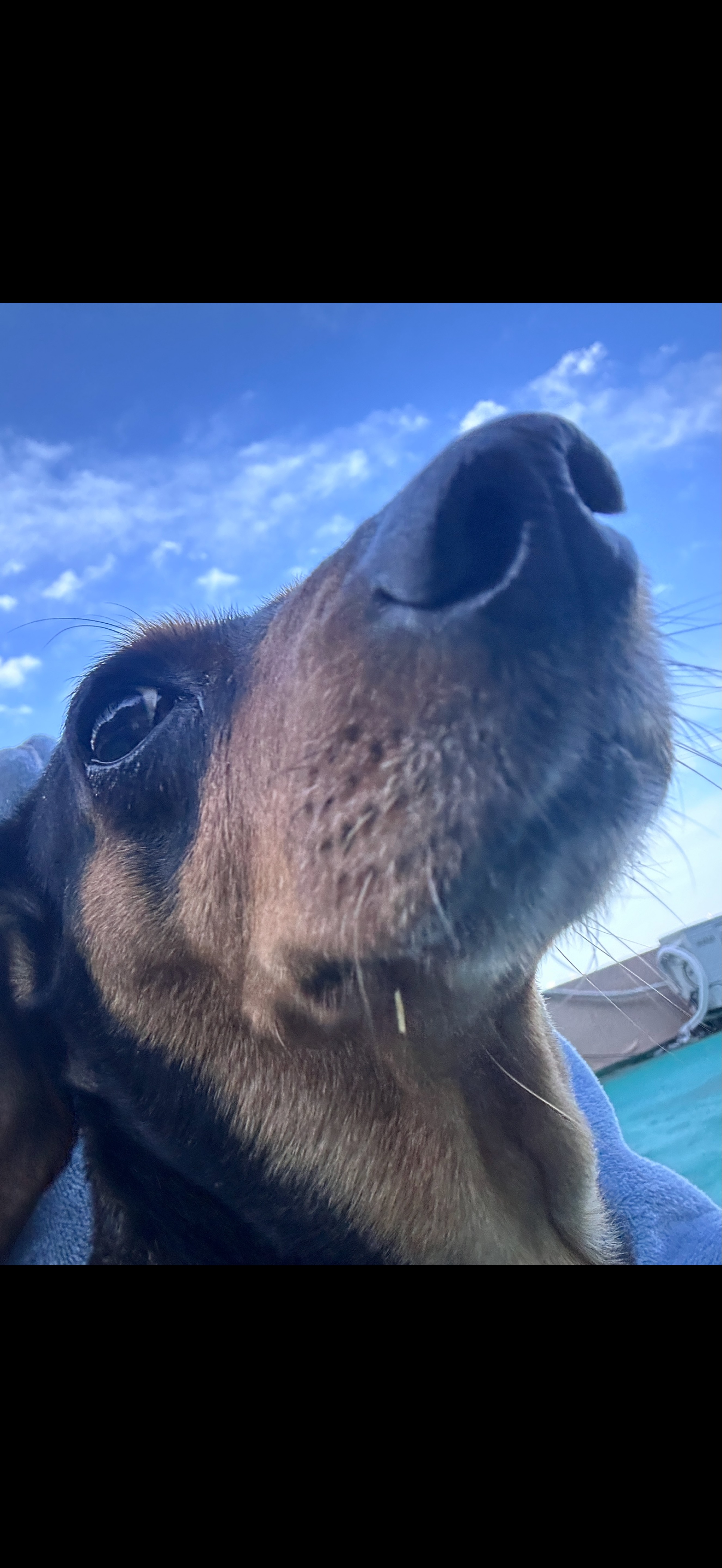 # 깃발이 아파요