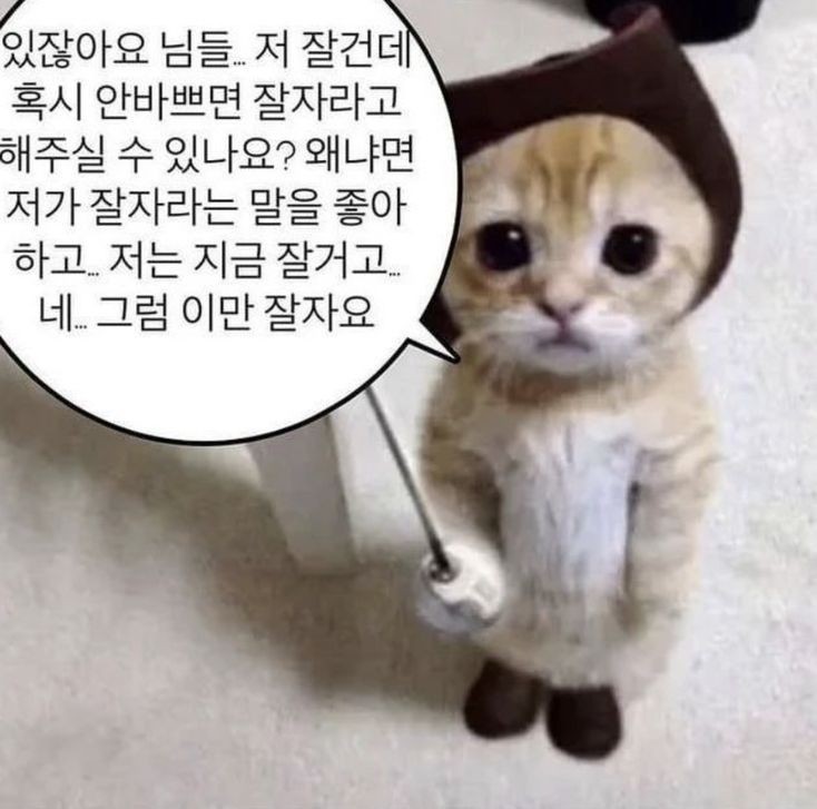 불현듯 리딩&낭독🎬